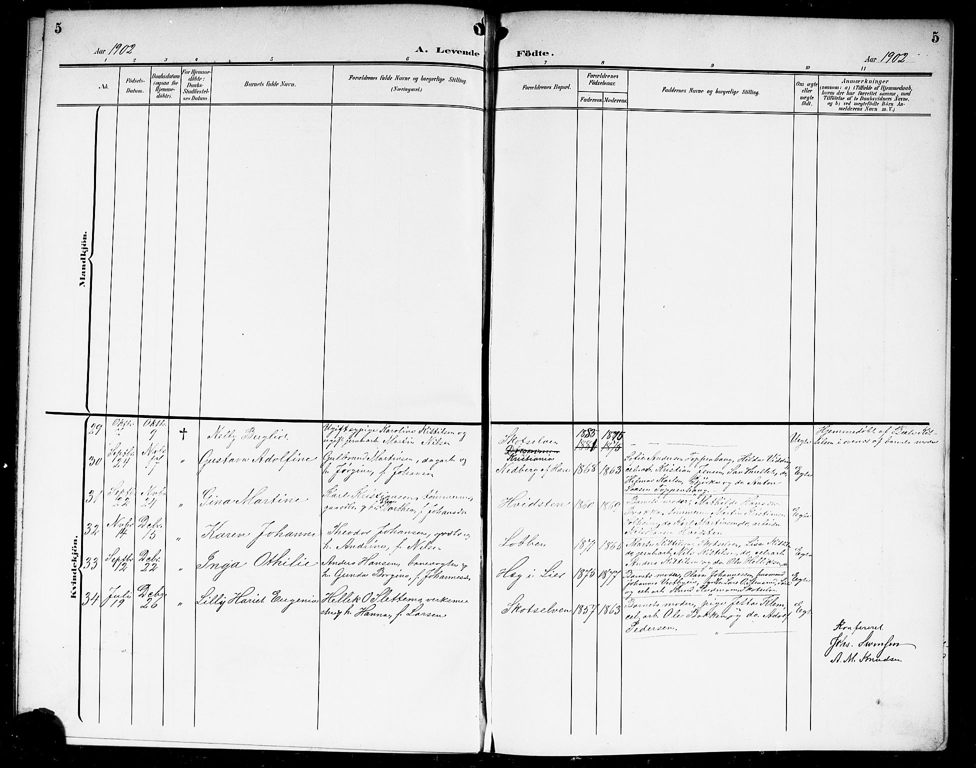 Eiker kirkebøker, AV/SAKO-A-4/G/Gb/L0005: Parish register (copy) no. II 5, 1901-1923, p. 5