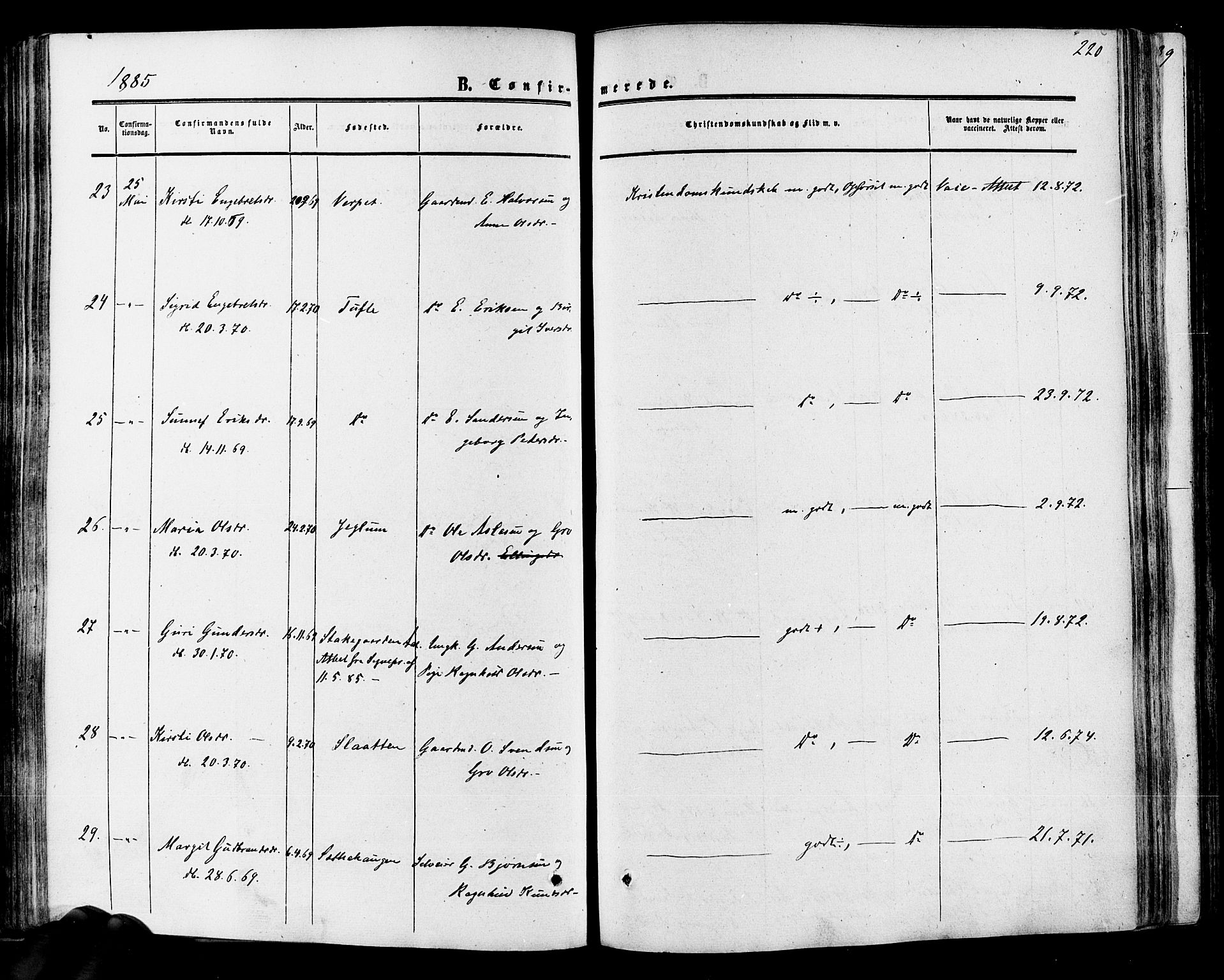 Hol kirkebøker, AV/SAKO-A-227/F/Fa/L0002: Parish register (official) no. I 2, 1870-1886, p. 220