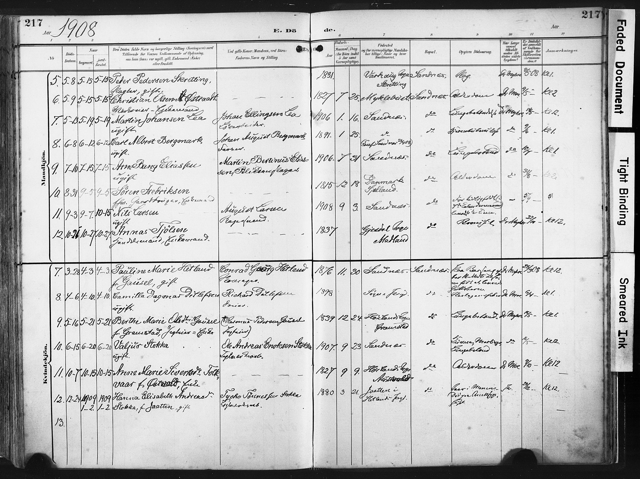 Høyland sokneprestkontor, AV/SAST-A-101799/001/30BA/L0016: Parish register (official) no. A 16, 1899-1911, p. 217