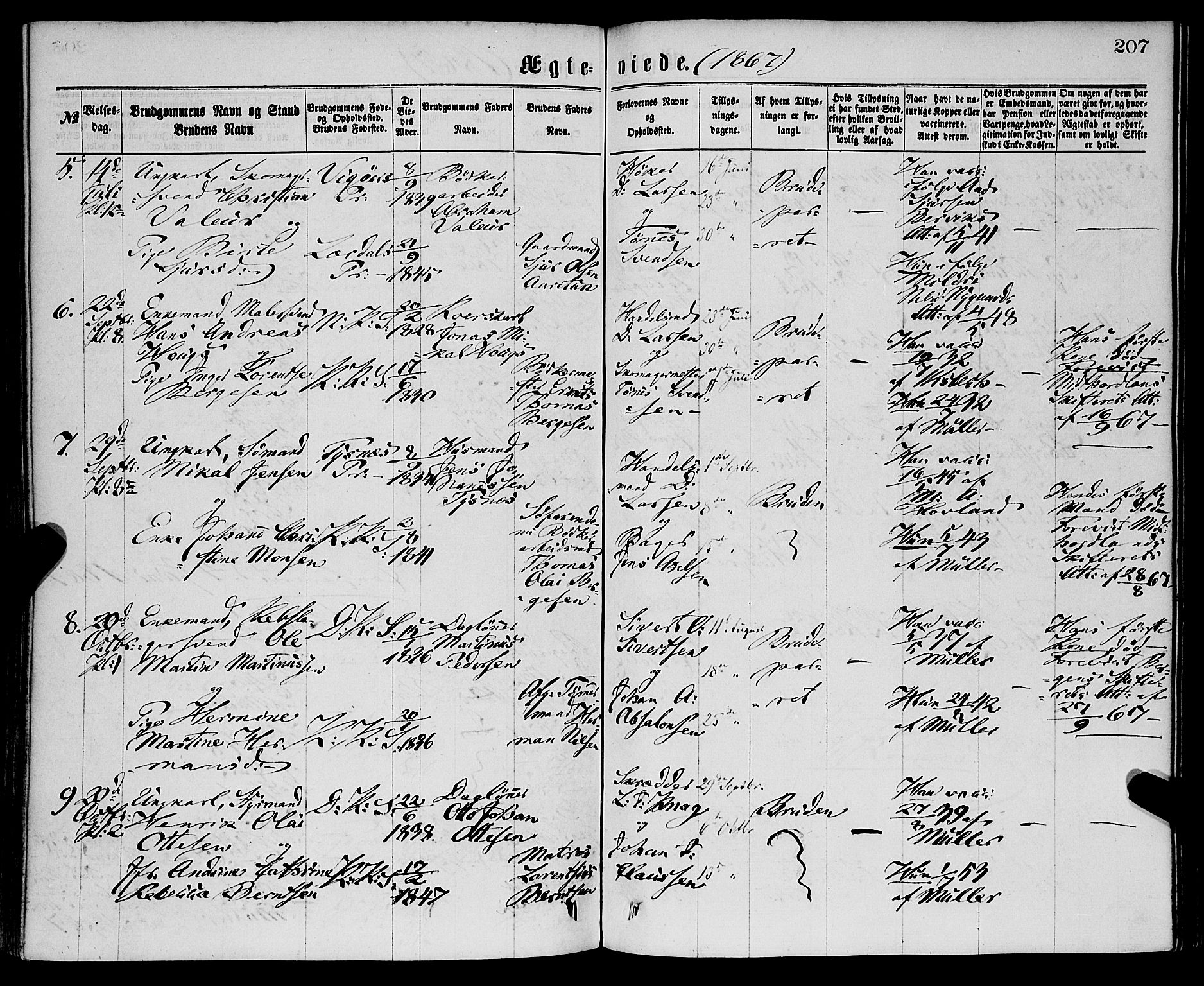 Sandviken Sokneprestembete, AV/SAB-A-77601/H/Ha/L0001: Parish register (official) no. A 1, 1867-1877, p. 207