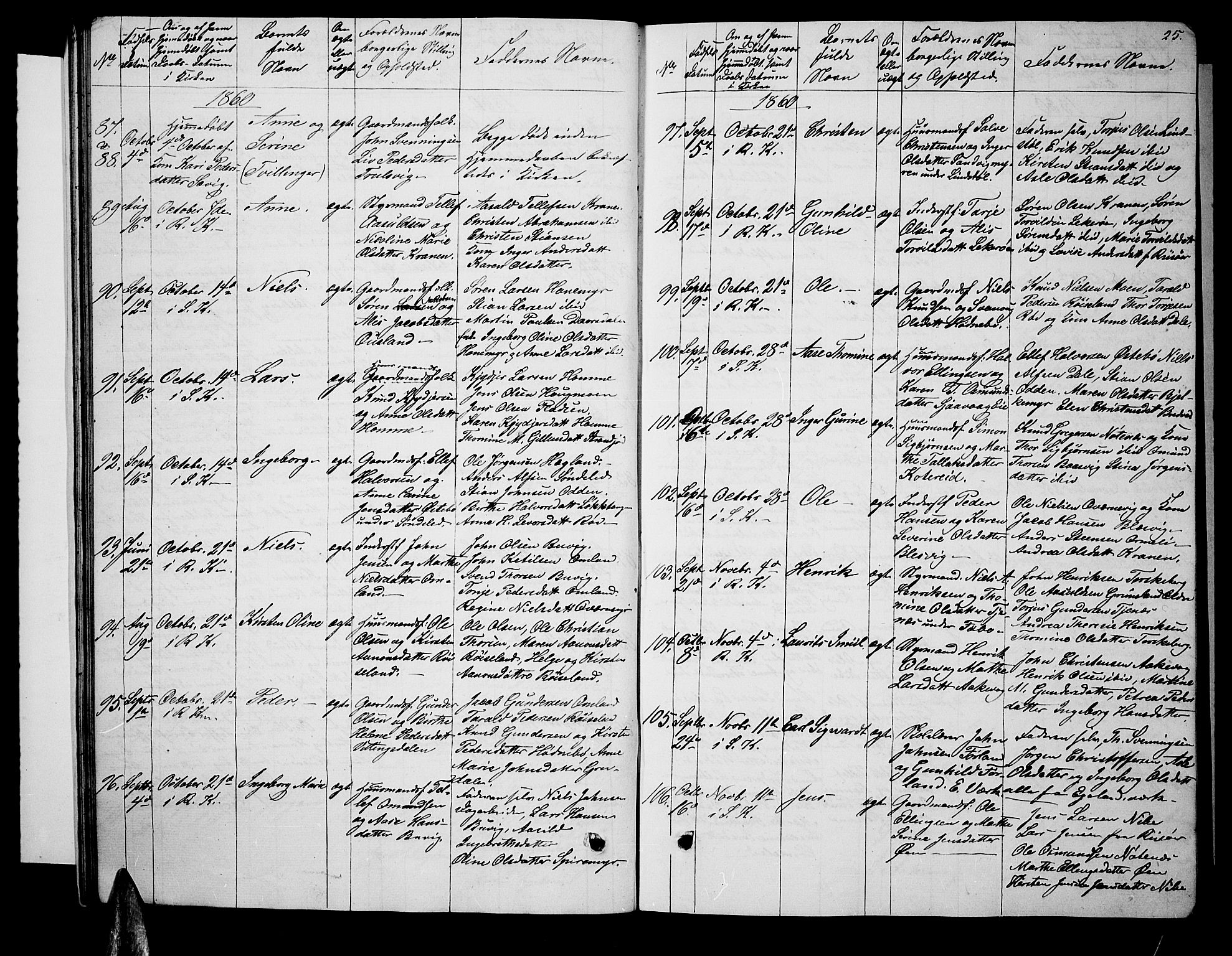 Søndeled sokneprestkontor, AV/SAK-1111-0038/F/Fb/L0004: Parish register (copy) no. B 4, 1857-1884, p. 25