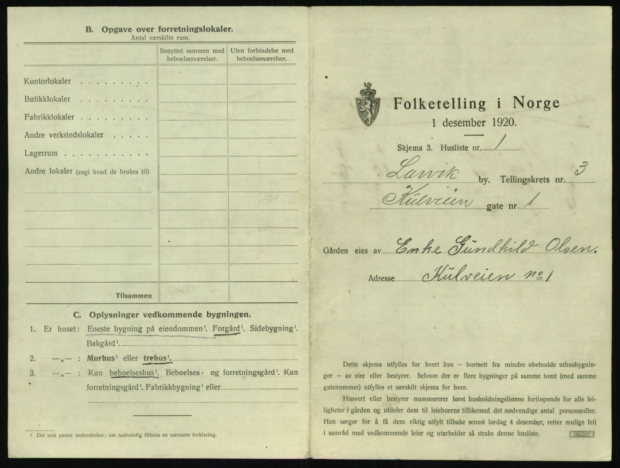 SAKO, 1920 census for Larvik, 1920, p. 576