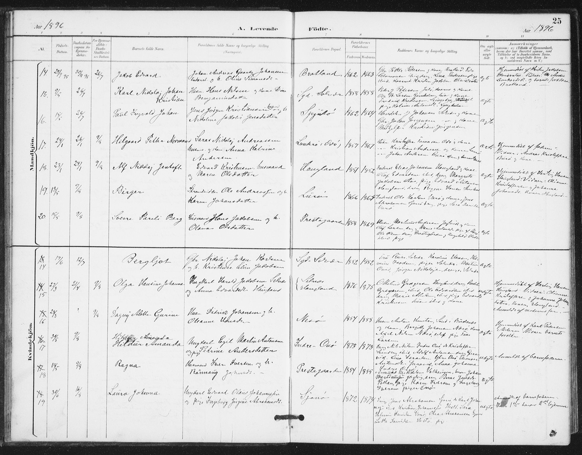 Ministerialprotokoller, klokkerbøker og fødselsregistre - Nordland, AV/SAT-A-1459/839/L0573: Parish register (copy) no. 839C03, 1892-1917, p. 25