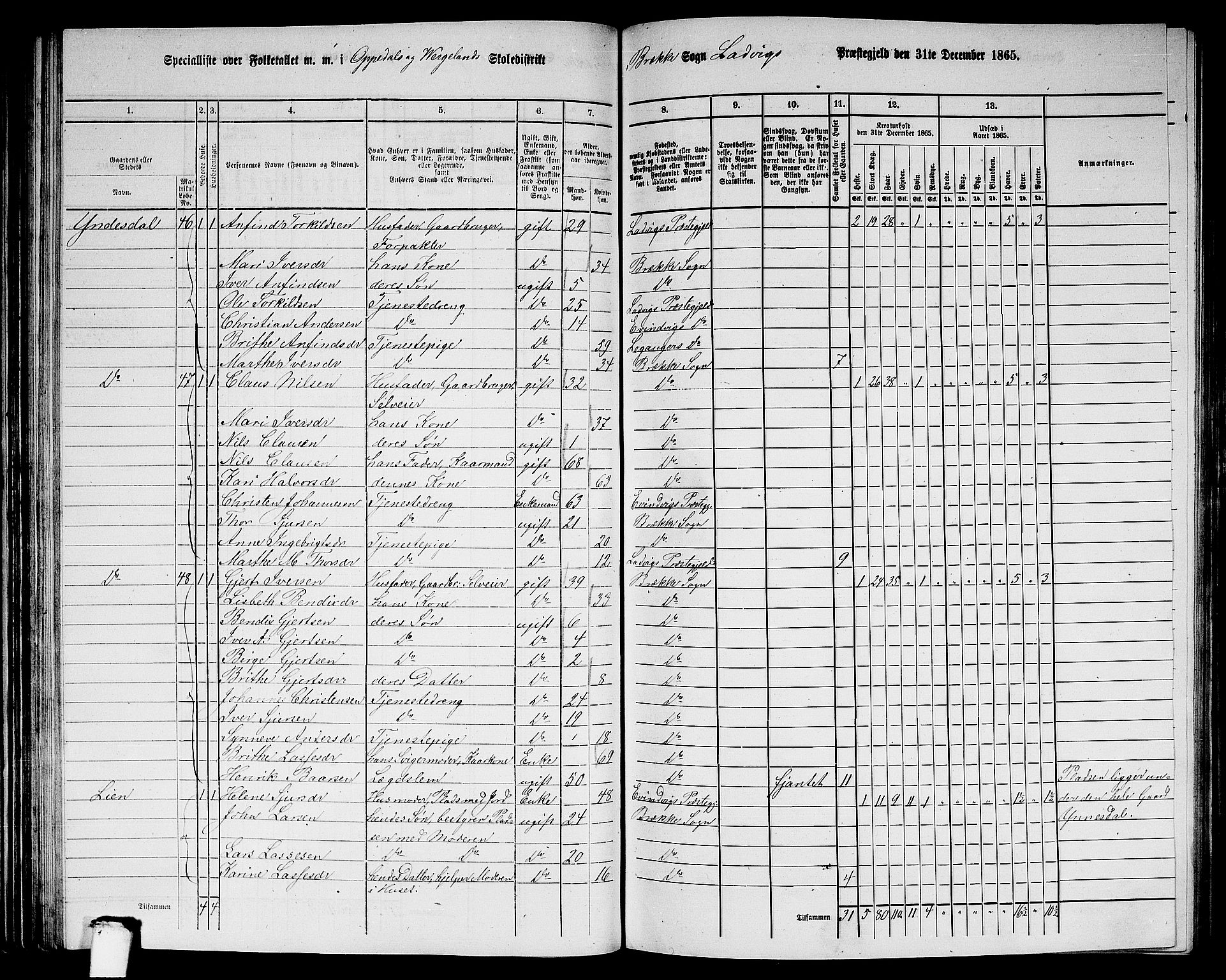 RA, 1865 census for Lavik, 1865, p. 82