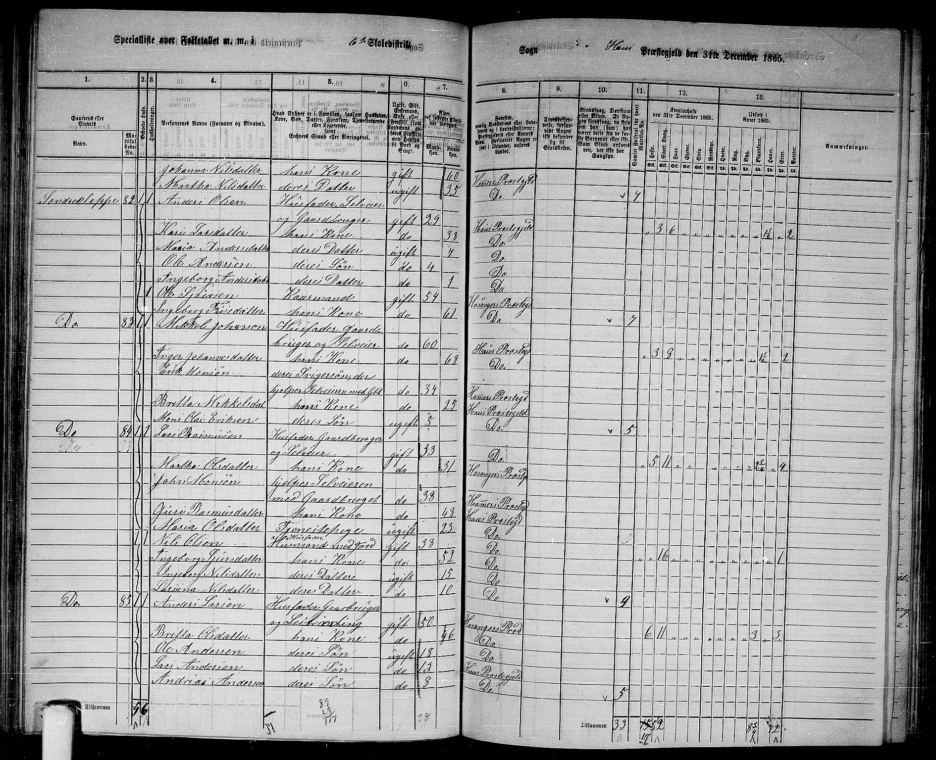 RA, 1865 census for Haus, 1865, p. 117