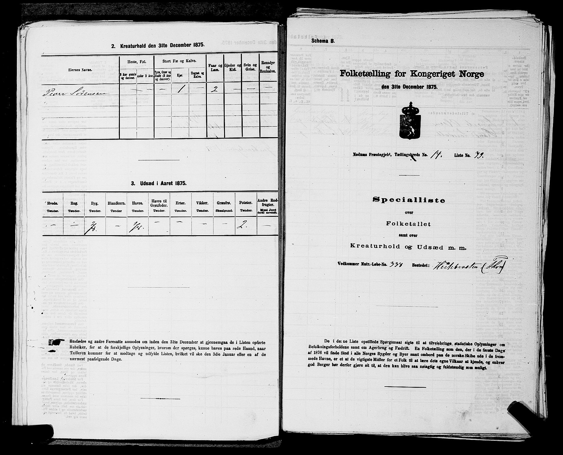 SAKO, 1875 census for 0623P Modum, 1875, p. 1823