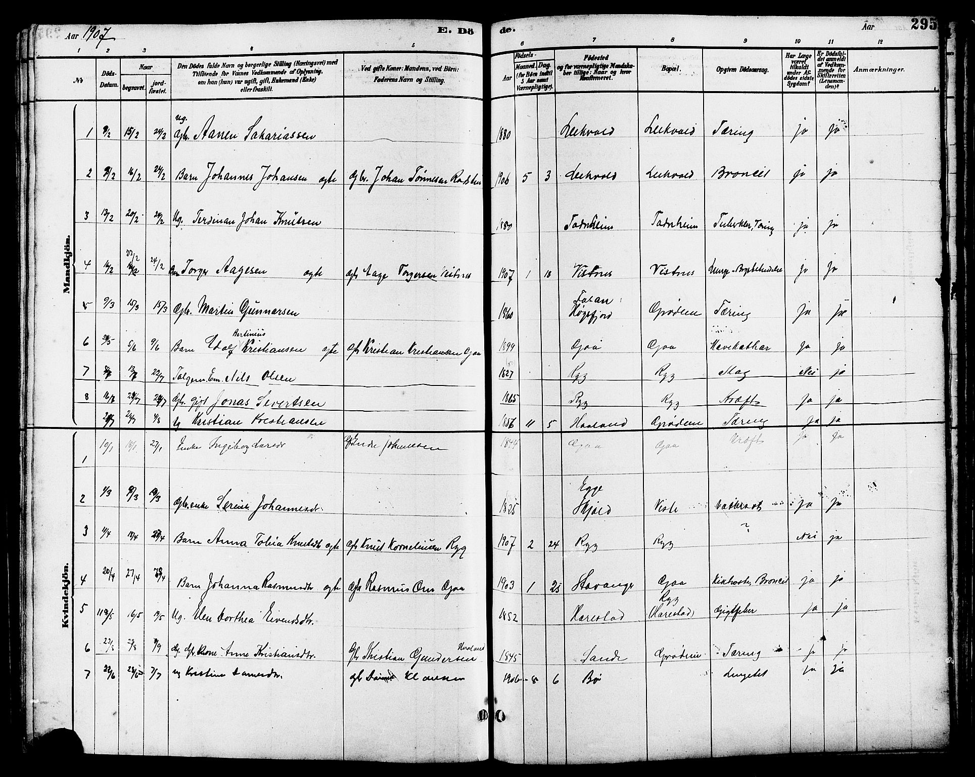 Hetland sokneprestkontor, SAST/A-101826/30/30BB/L0006: Parish register (copy) no. B 6, 1878-1921, p. 295