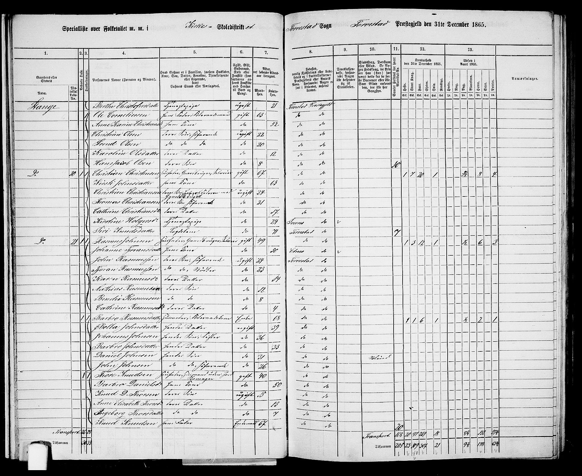 RA, 1865 census for Torvastad/Torvastad, Skåre og Utsira, 1865, p. 22