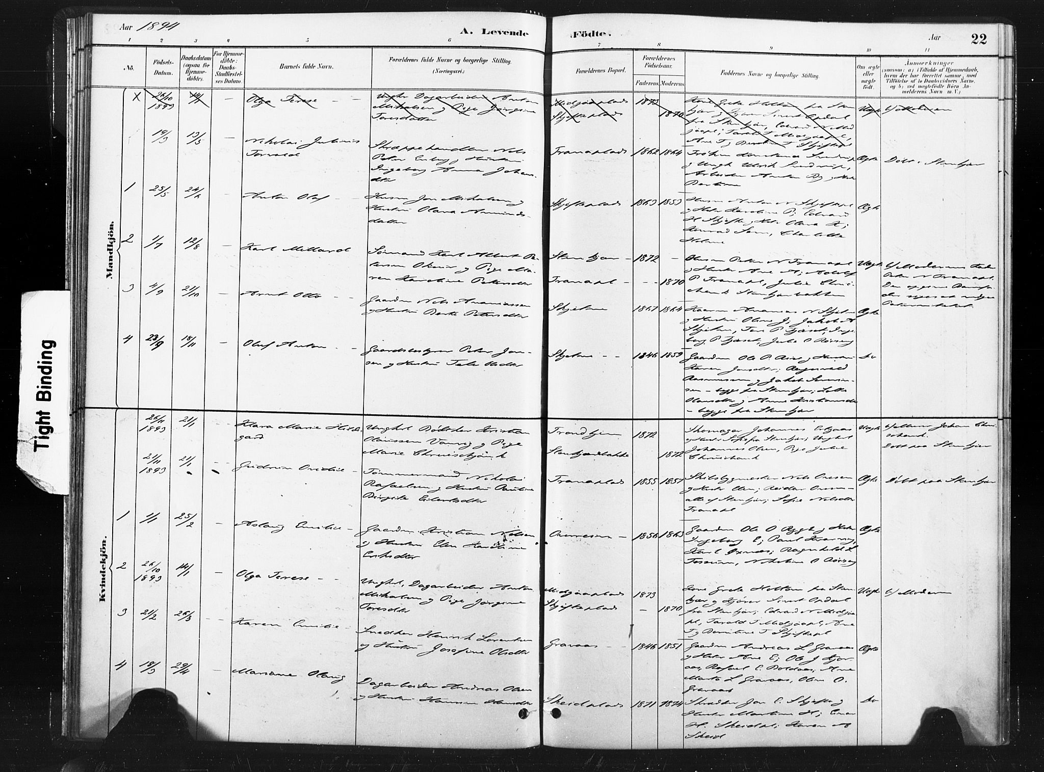Ministerialprotokoller, klokkerbøker og fødselsregistre - Nord-Trøndelag, SAT/A-1458/736/L0361: Parish register (official) no. 736A01, 1884-1906, p. 22