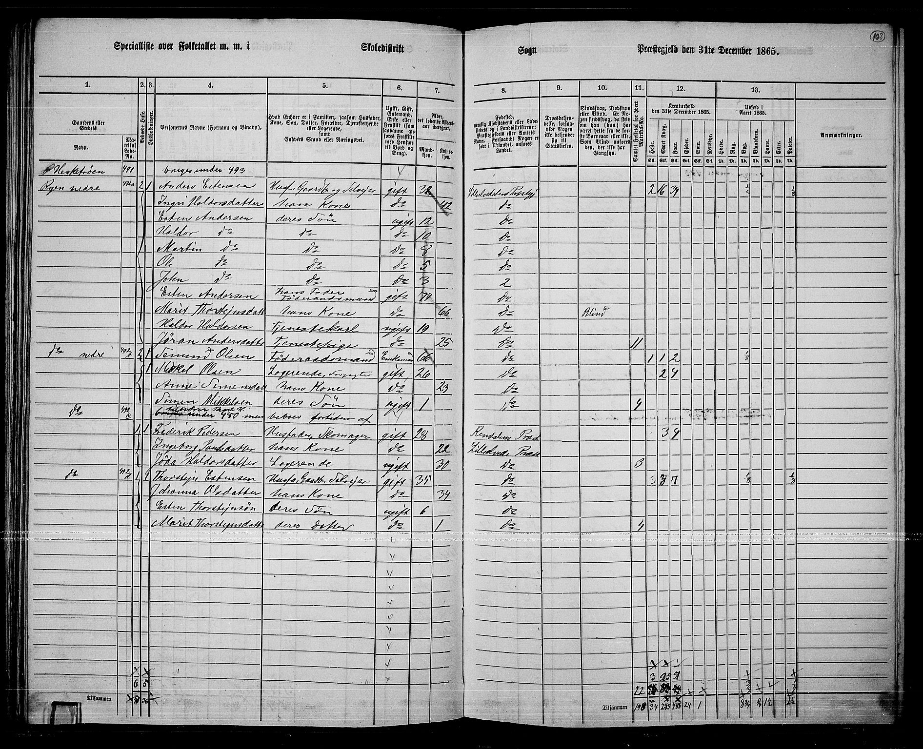 RA, 1865 census for Lille Elvedalen, 1865, p. 91