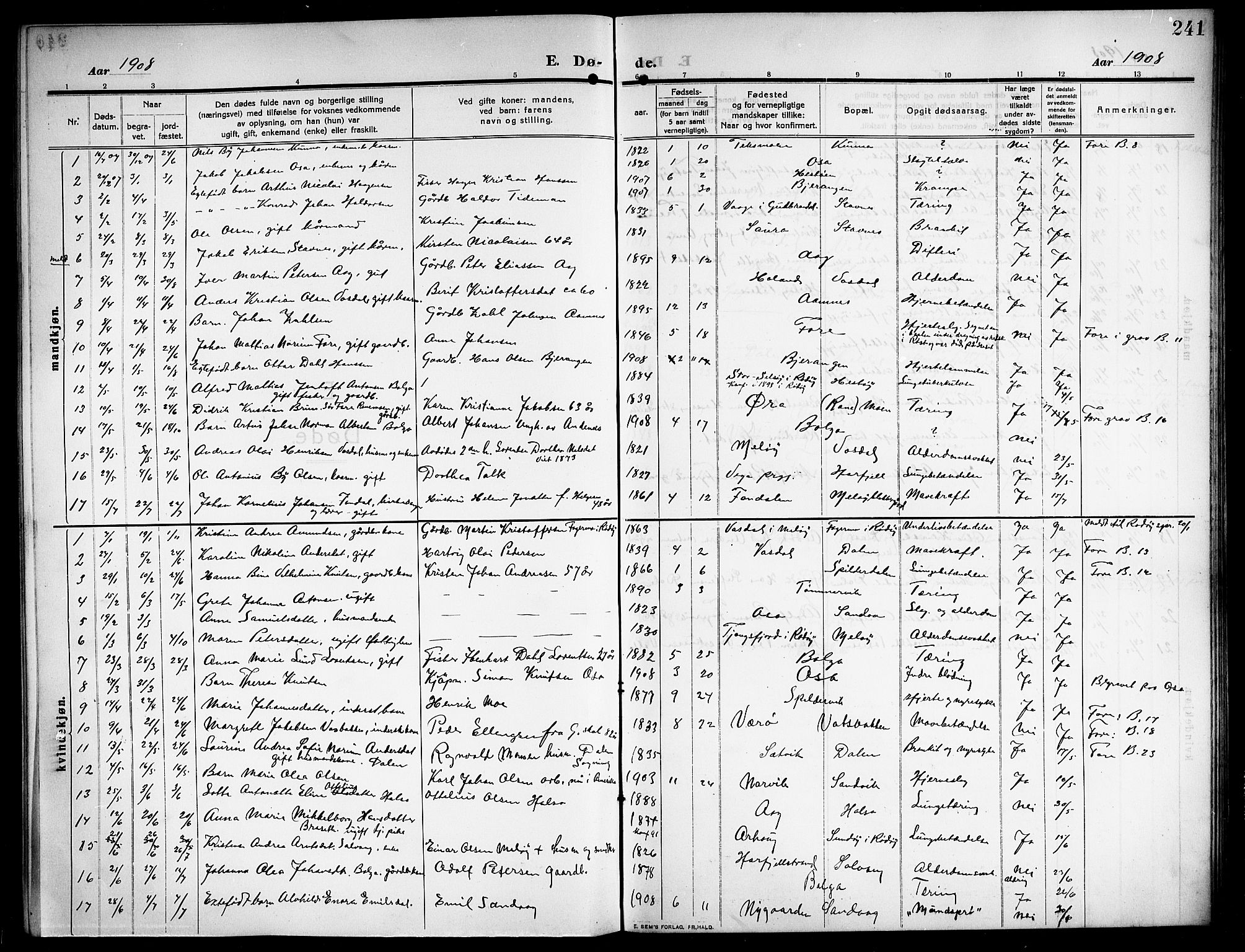 Ministerialprotokoller, klokkerbøker og fødselsregistre - Nordland, AV/SAT-A-1459/843/L0639: Parish register (copy) no. 843C08, 1908-1924, p. 241