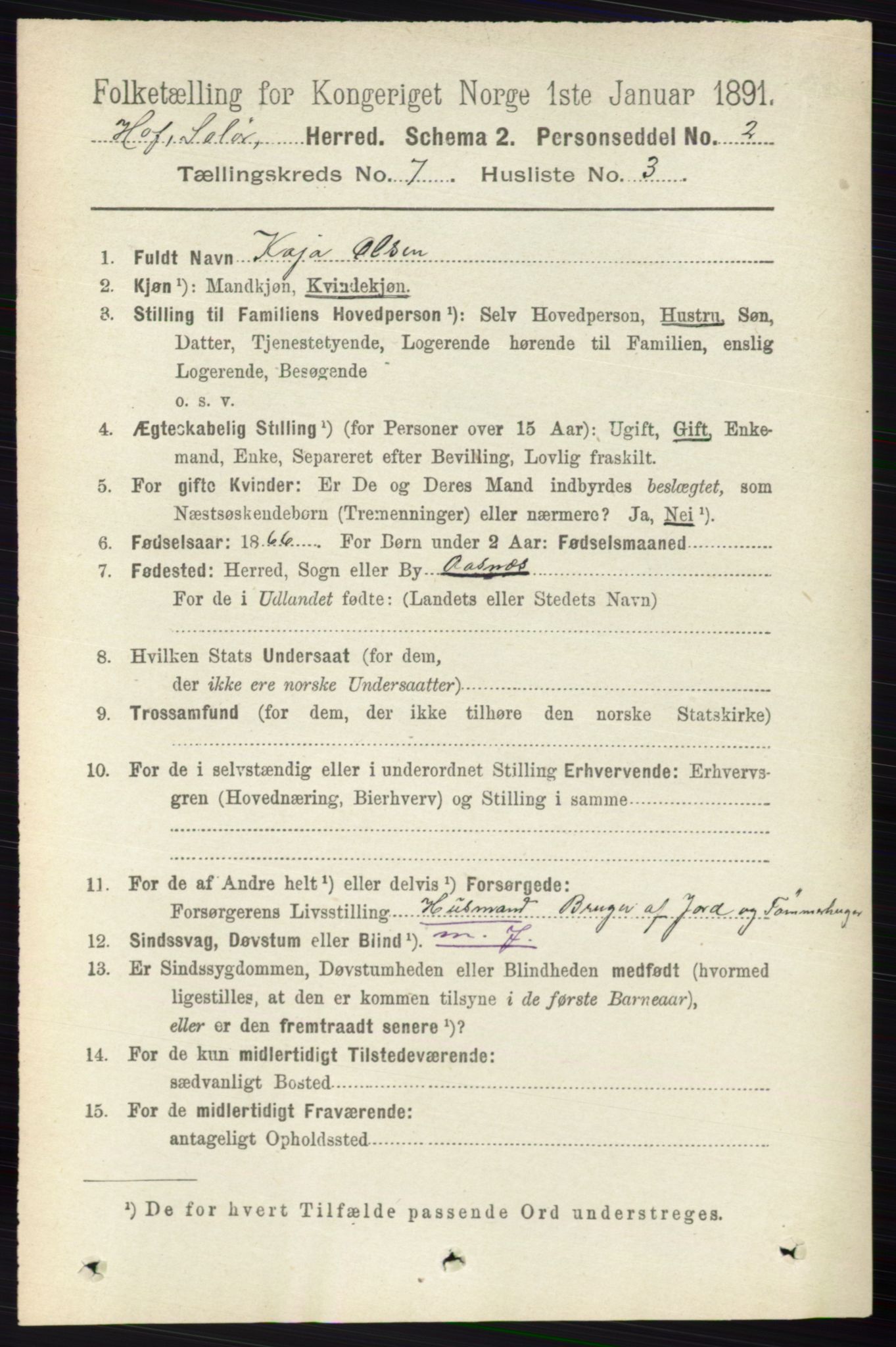 RA, 1891 census for 0424 Hof, 1891, p. 2731