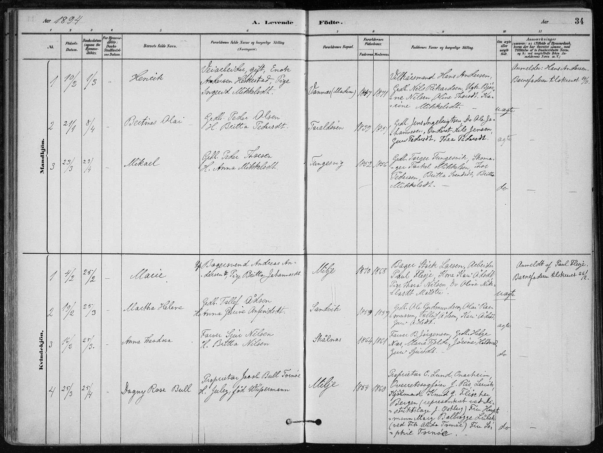 Skånevik sokneprestembete, SAB/A-77801/H/Haa: Parish register (official) no. B 1, 1879-1914, p. 34