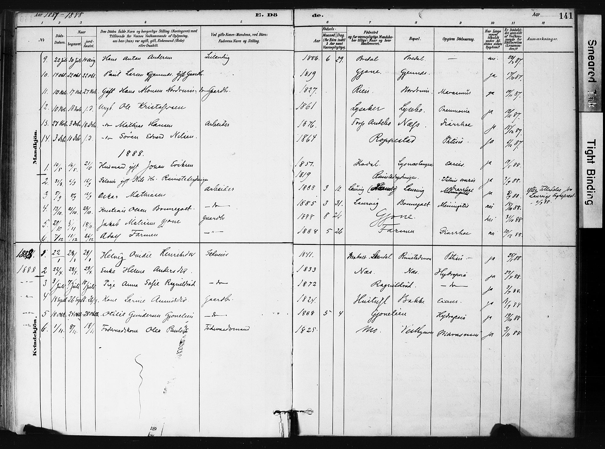 Hedrum kirkebøker, SAKO/A-344/F/Fb/L0001: Parish register (official) no. II 1, 1881-1905, p. 141