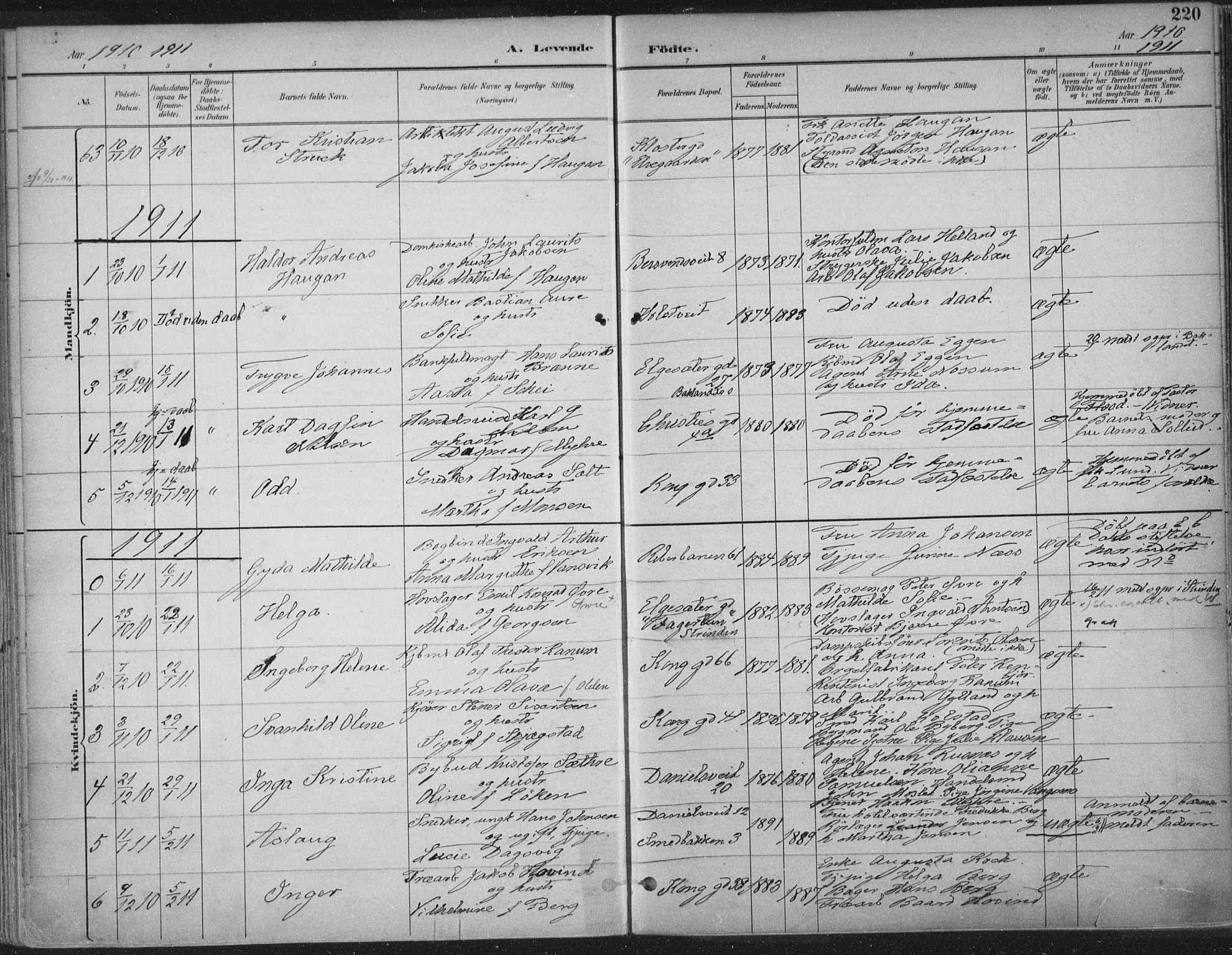 Ministerialprotokoller, klokkerbøker og fødselsregistre - Sør-Trøndelag, SAT/A-1456/601/L0062: Parish register (official) no. 601A30, 1891-1911, p. 220