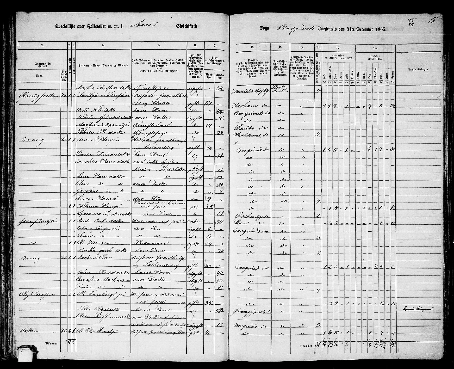 RA, 1865 census for Borgund, 1865, p. 52