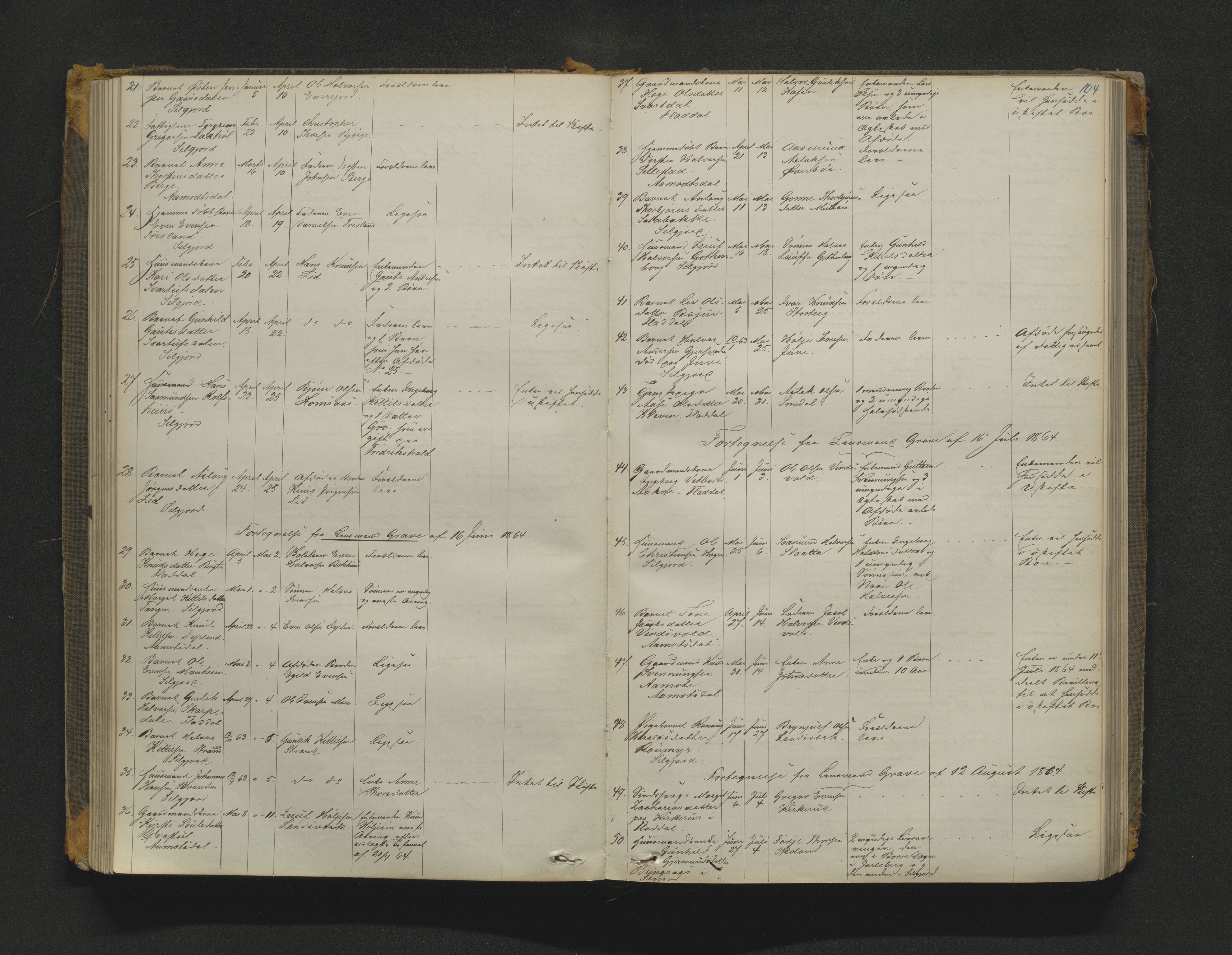 Øvre Telemark østfjelske sorenskriveri, AV/SAKO-A-213/H/Ha/Haa/L0001: Dødsanmeldelsesprotokoll, 1862-1899, p. 104