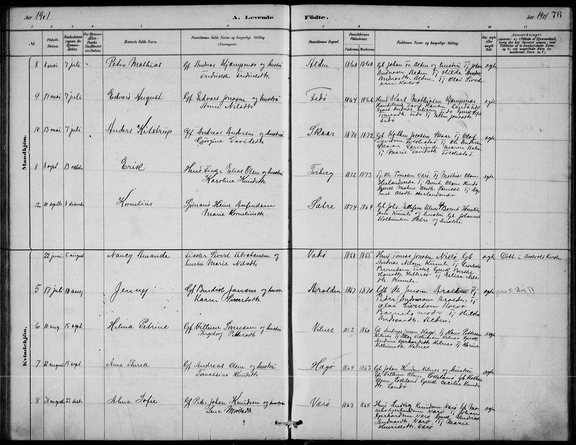 Askvoll sokneprestembete, AV/SAB-A-79501/H/Hab/Habb/L0001: Parish register (copy) no. B 1, 1879-1909, p. 76