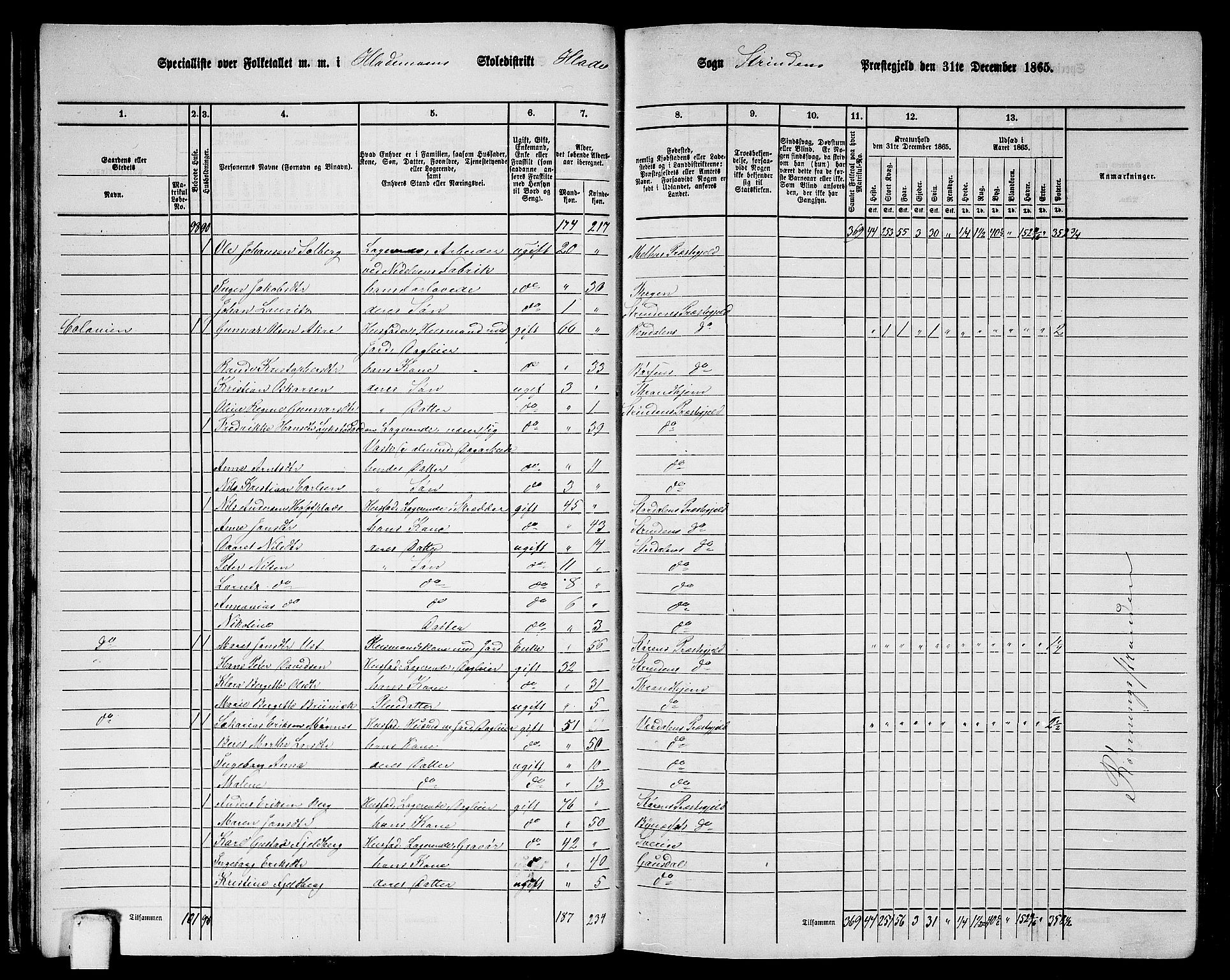 RA, 1865 census for Strinda, 1865, p. 30