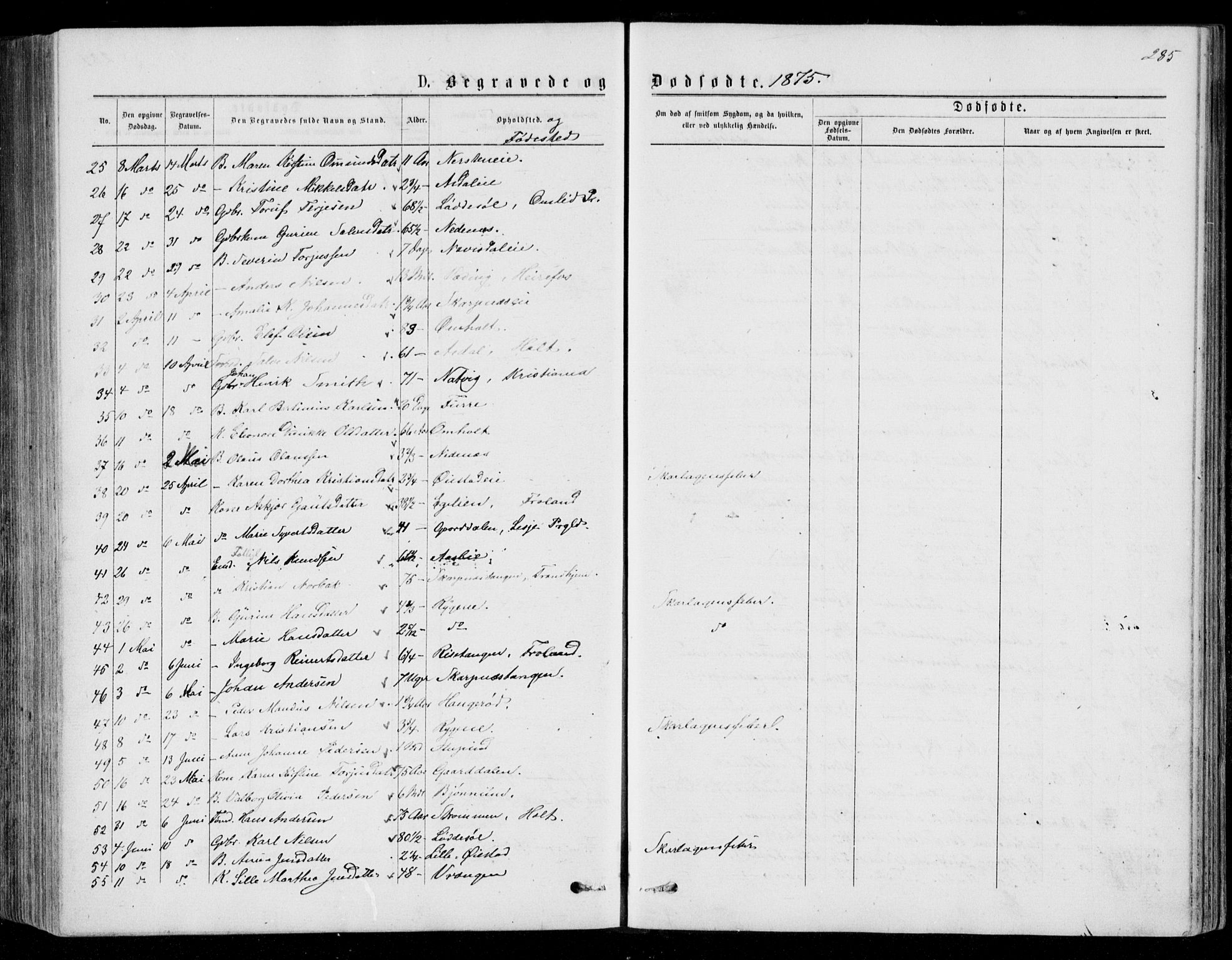 Øyestad sokneprestkontor, SAK/1111-0049/F/Fb/L0008: Parish register (copy) no. B 8, 1872-1886, p. 285
