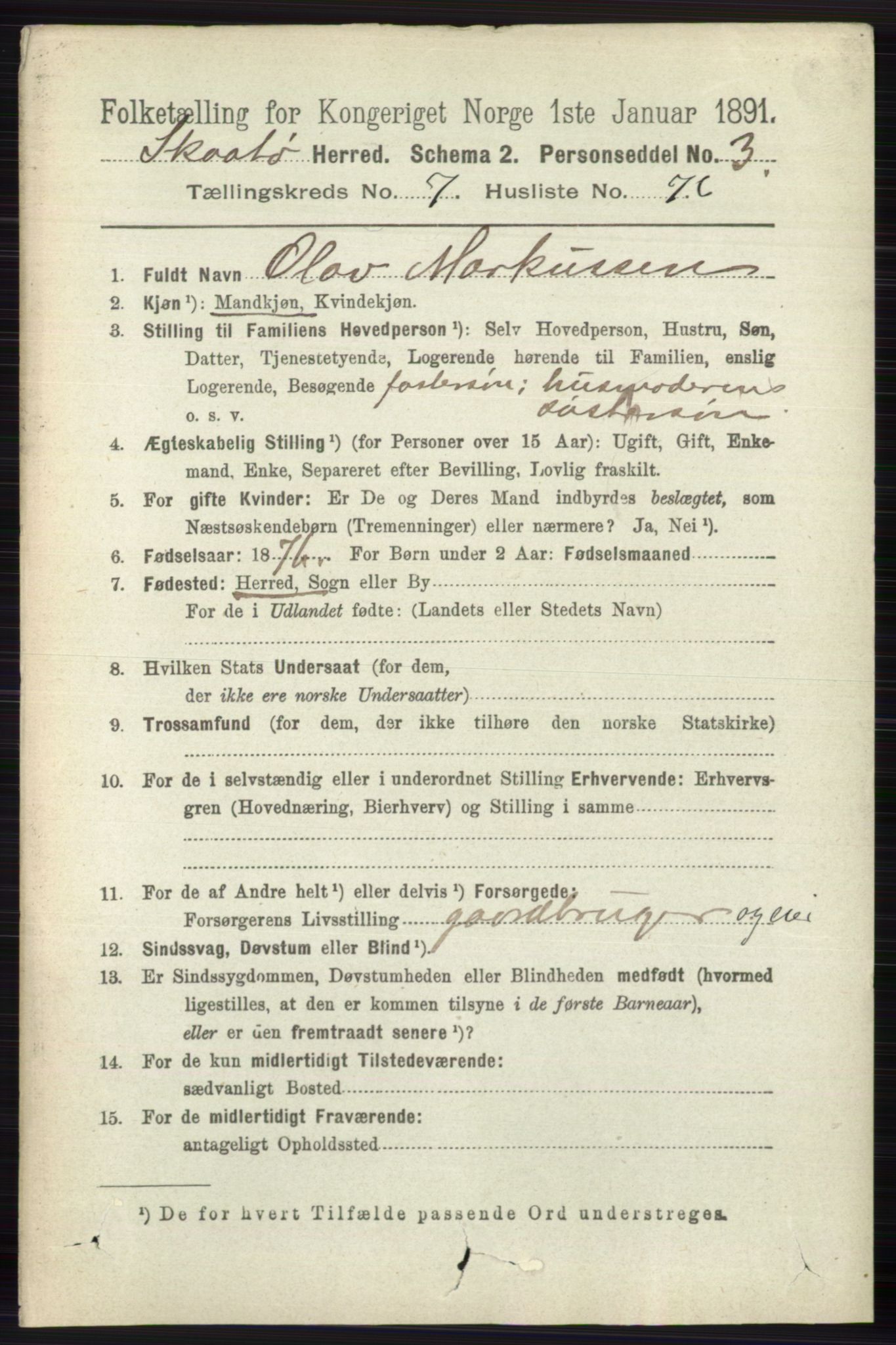 RA, 1891 census for 0815 Skåtøy, 1891, p. 3468