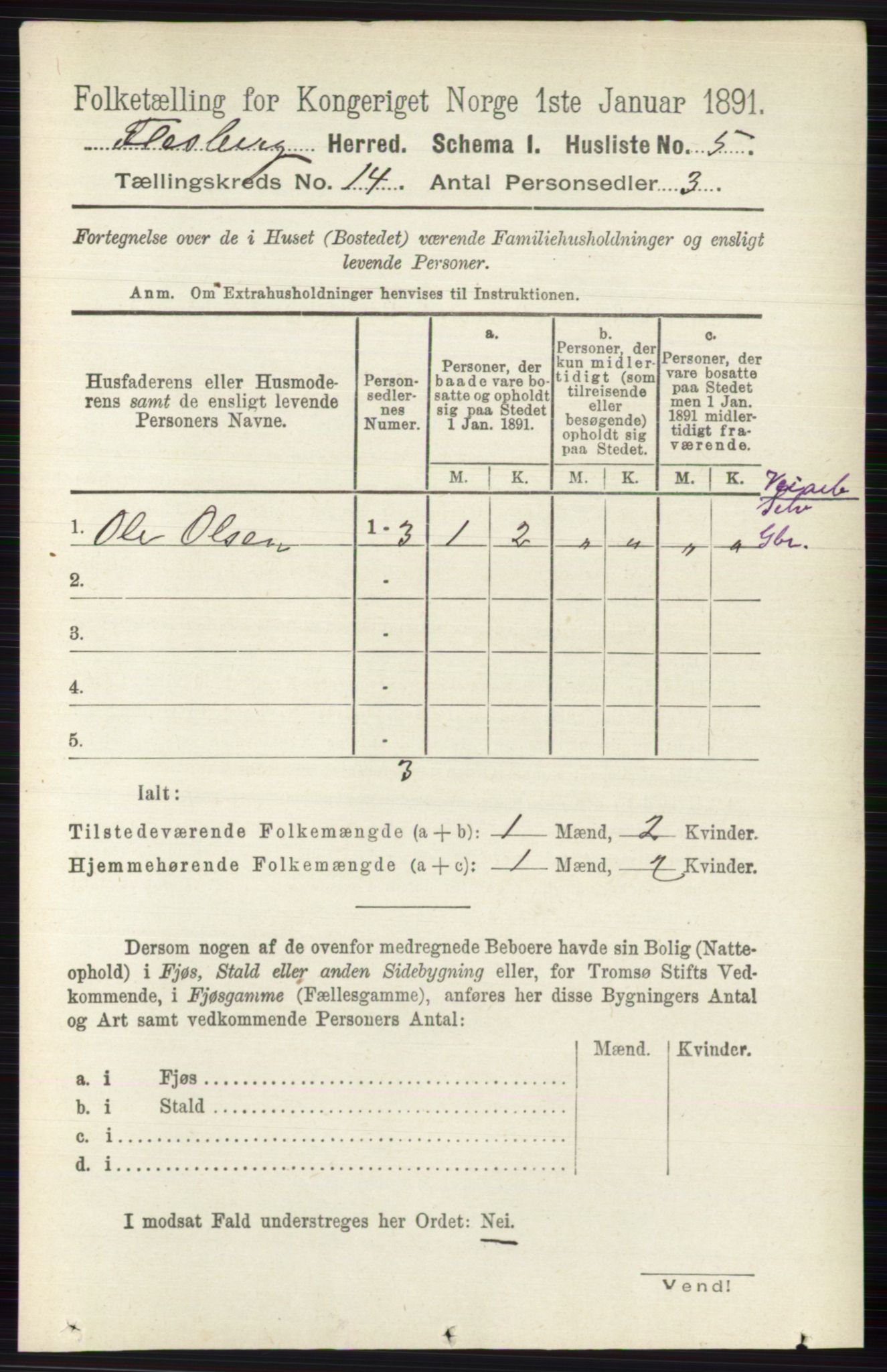 RA, 1891 census for 0631 Flesberg, 1891, p. 2411