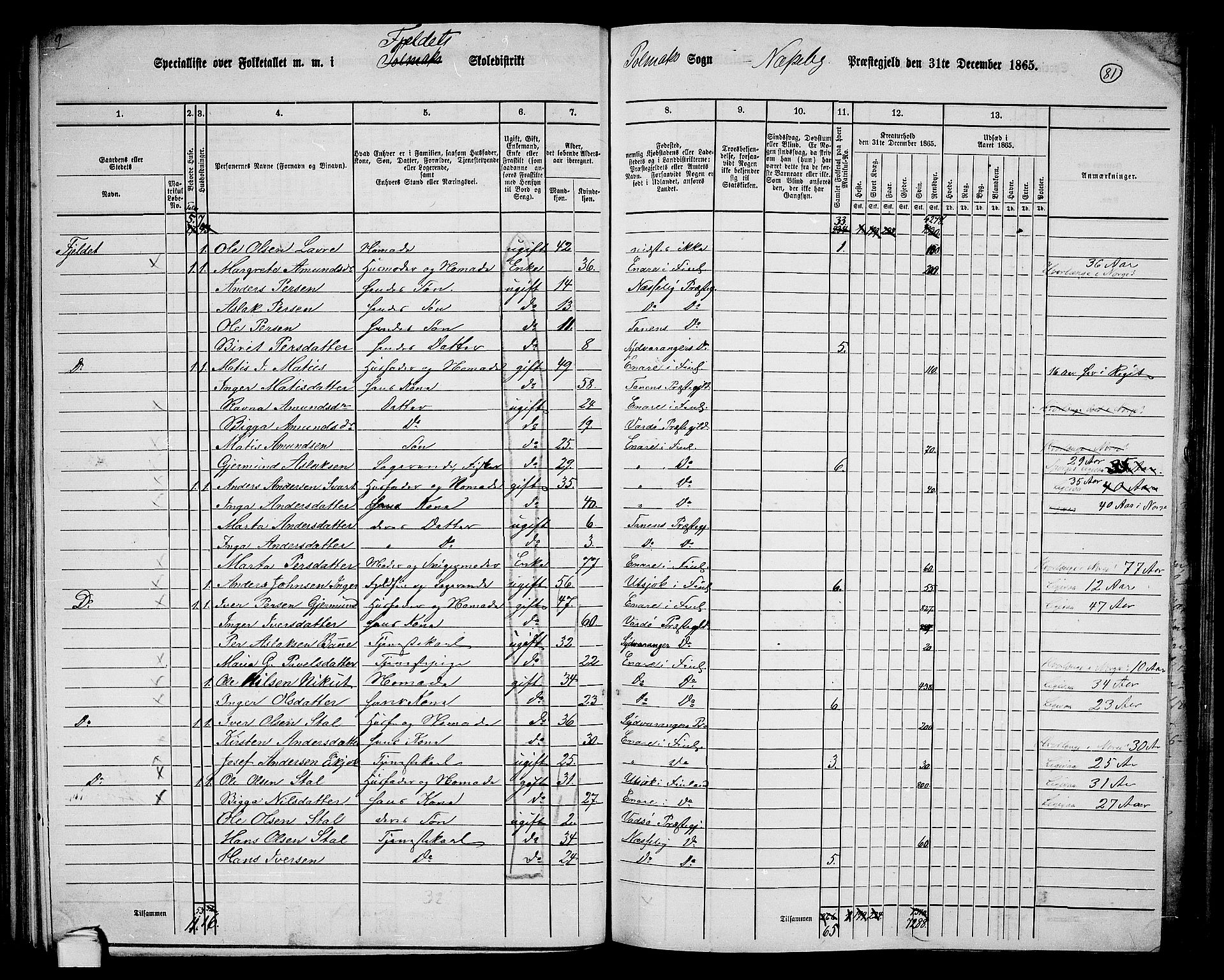 RA, 1865 census for Nesseby, 1865, p. 60