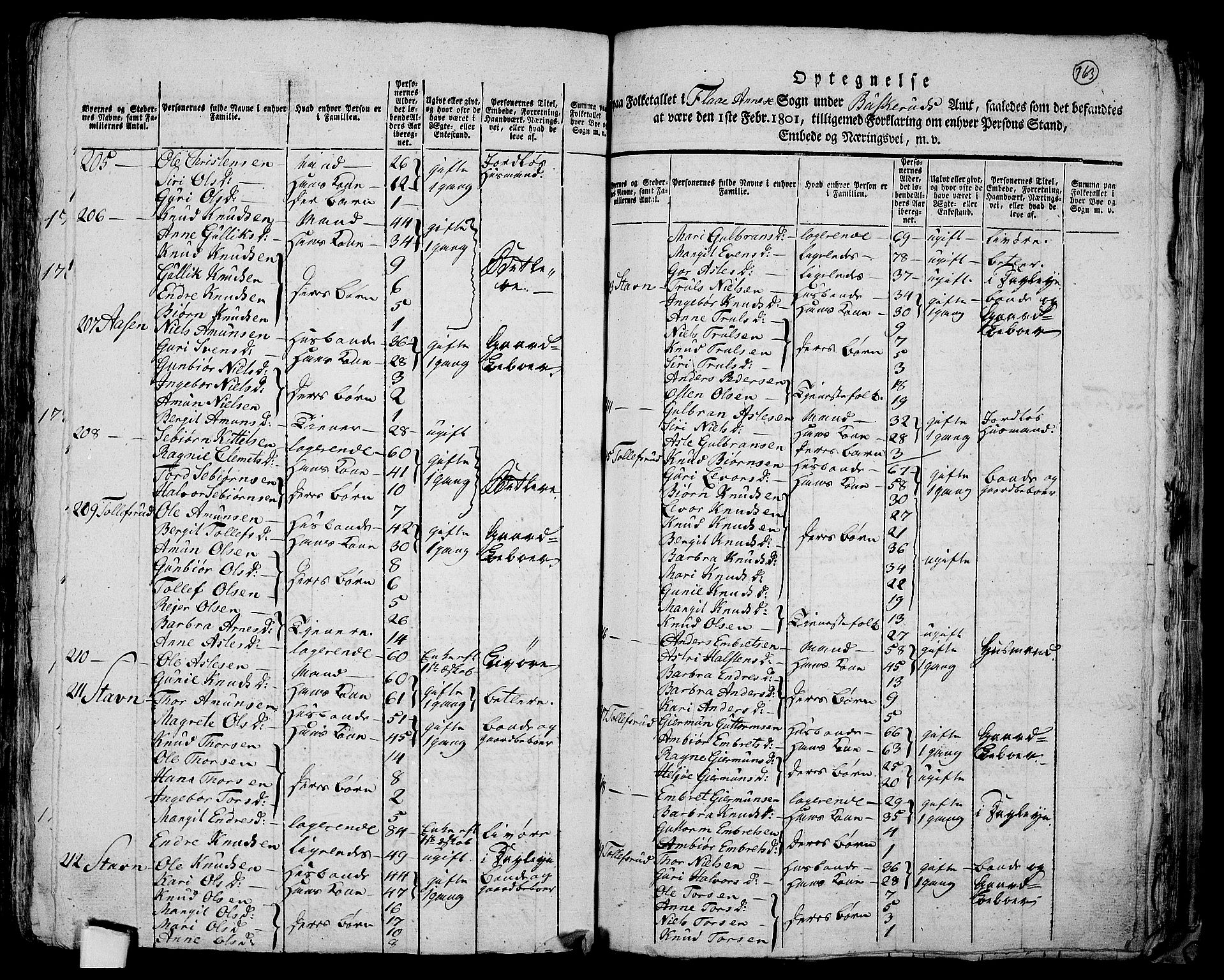 RA, 1801 census for 0616P Nes, 1801, p. 162b-163a