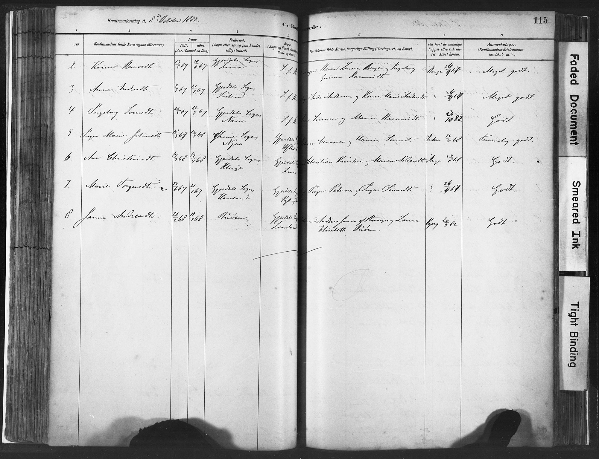 Lye sokneprestkontor, SAST/A-101794/001/30BA/L0010: Parish register (official) no. A 10, 1881-1896, p. 115