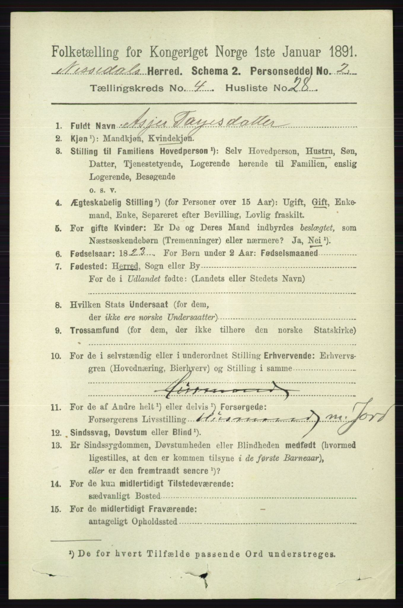 RA, 1891 census for 0830 Nissedal, 1891, p. 1053