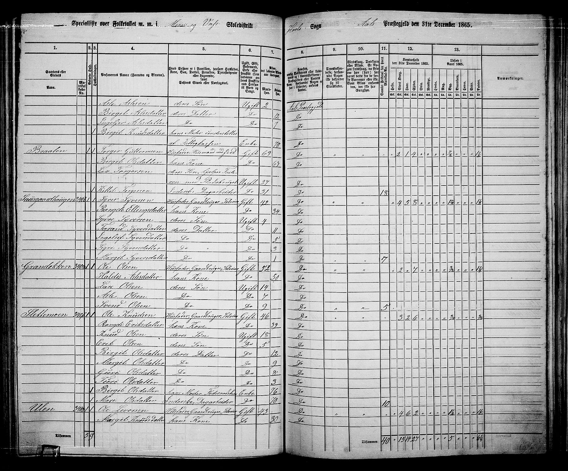 RA, 1865 census for Ål, 1865, p. 170