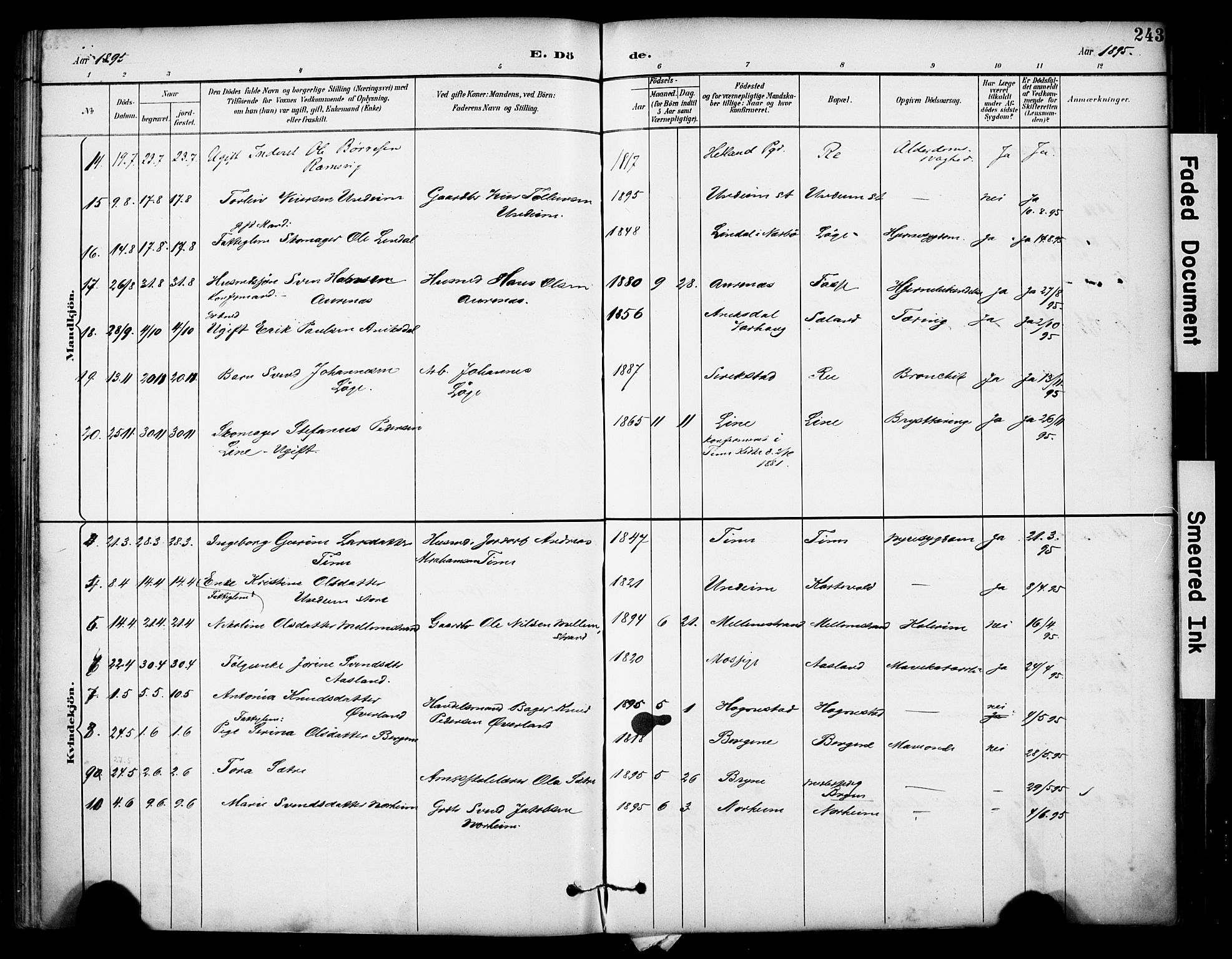 Lye sokneprestkontor, AV/SAST-A-101794/001/30BA/L0011: Parish register (official) no. A 9, 1893-1903, p. 243