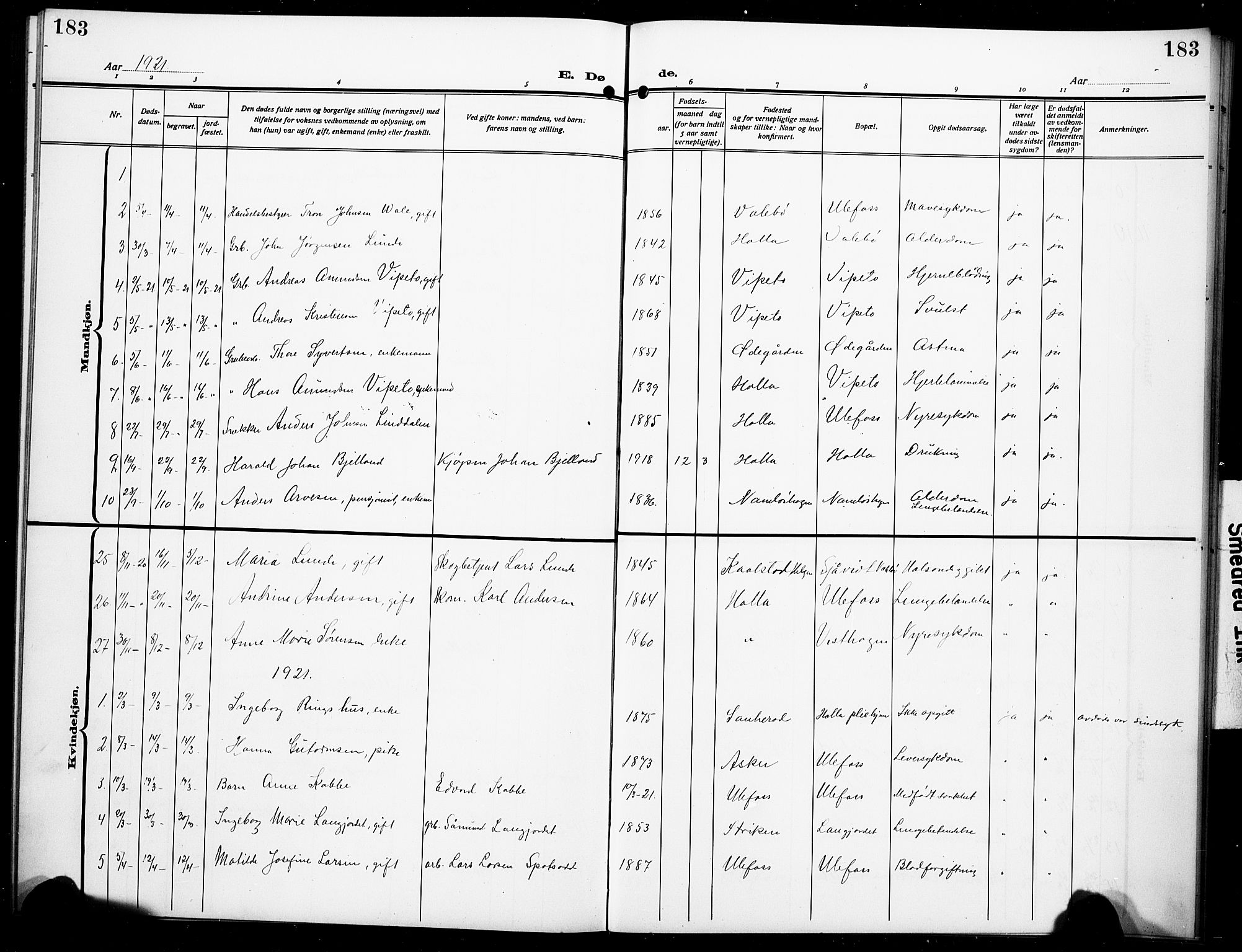 Holla kirkebøker, AV/SAKO-A-272/G/Ga/L0006: Parish register (copy) no. I 6, 1917-1928, p. 183