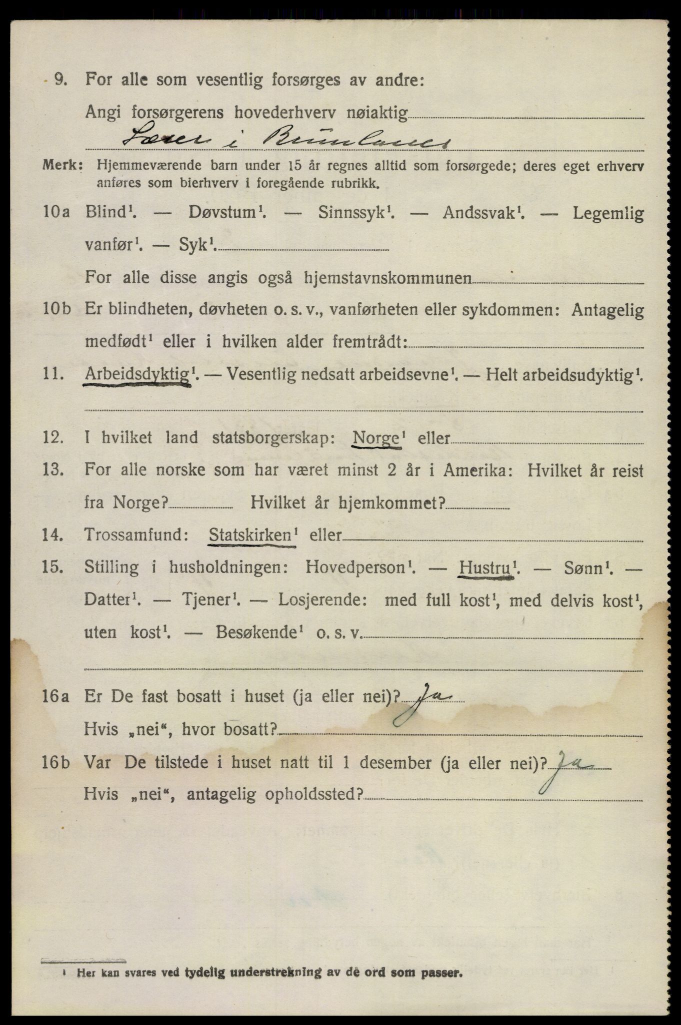 SAKO, 1920 census for Brunlanes, 1920, p. 8610