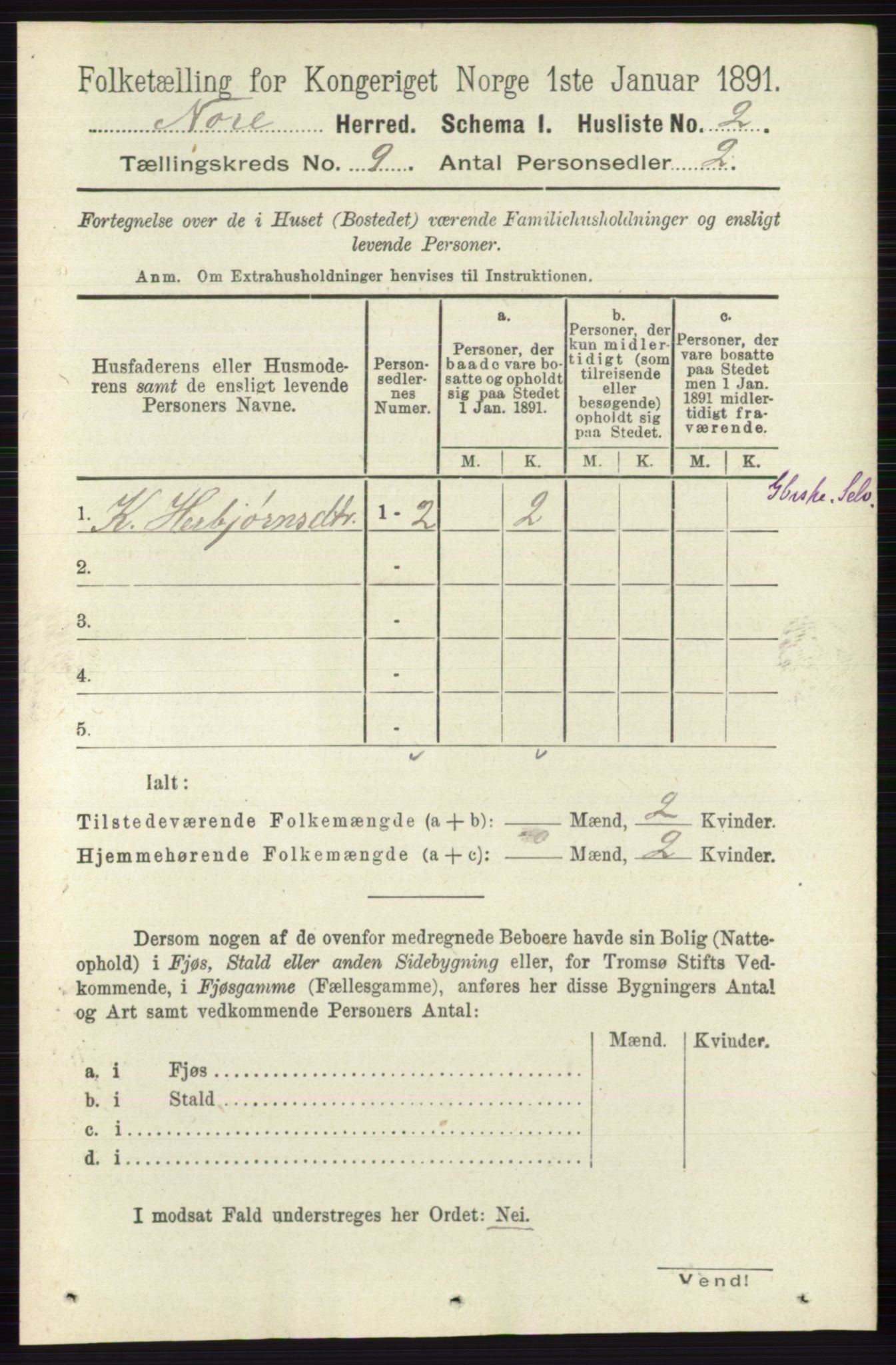 RA, 1891 census for 0633 Nore, 1891, p. 3154