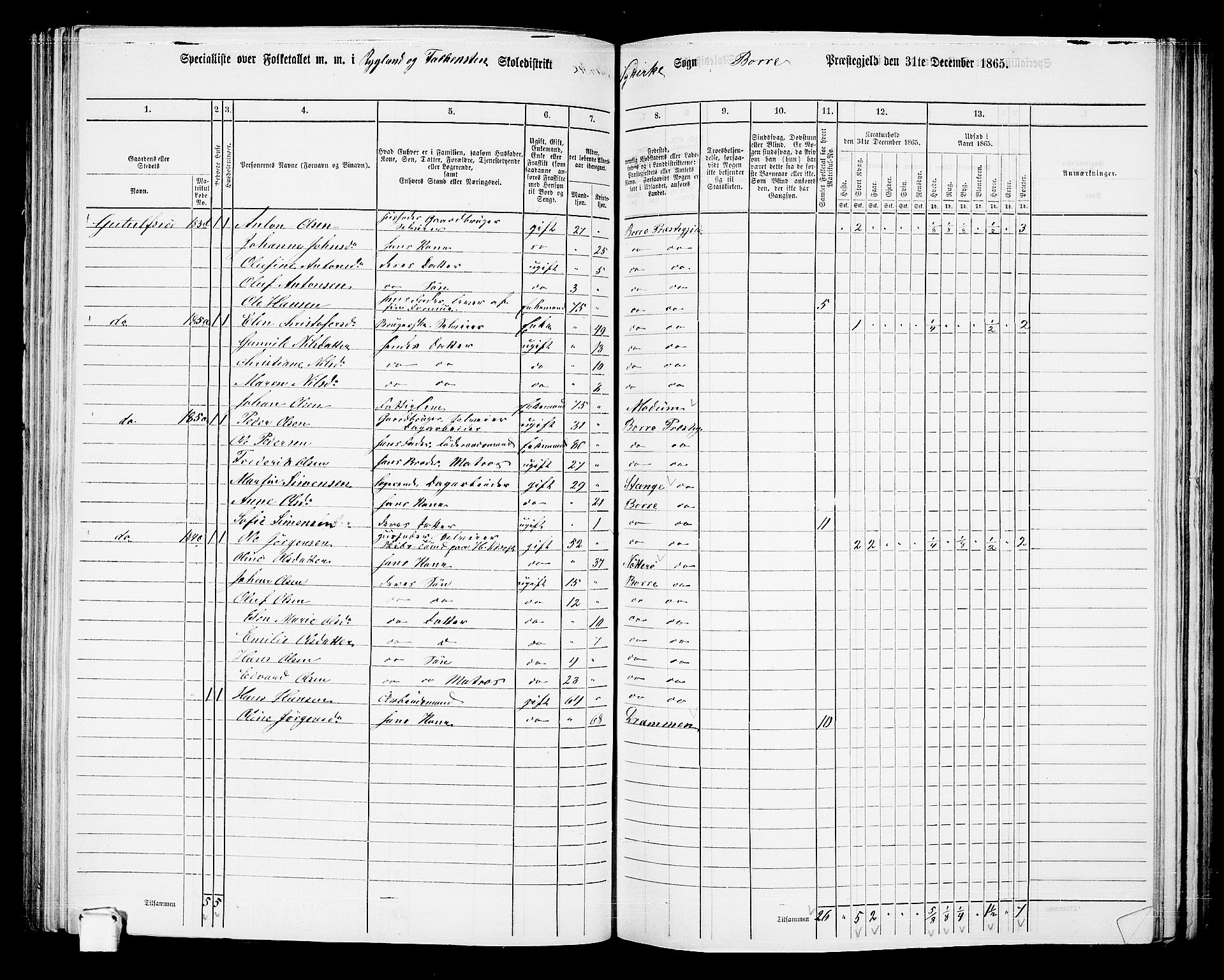 RA, 1865 census for Borre, 1865, p. 131