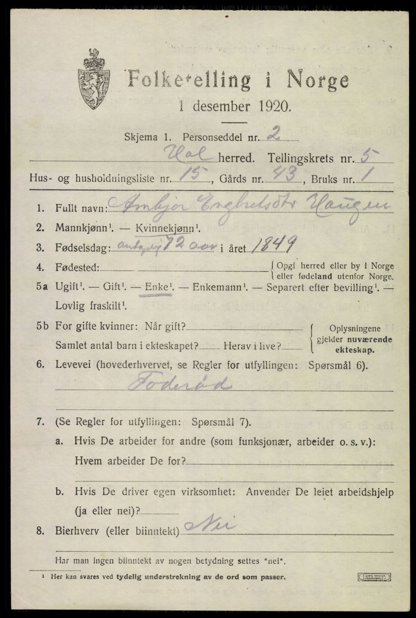 SAKO, 1920 census for Hol (Buskerud), 1920, p. 2919