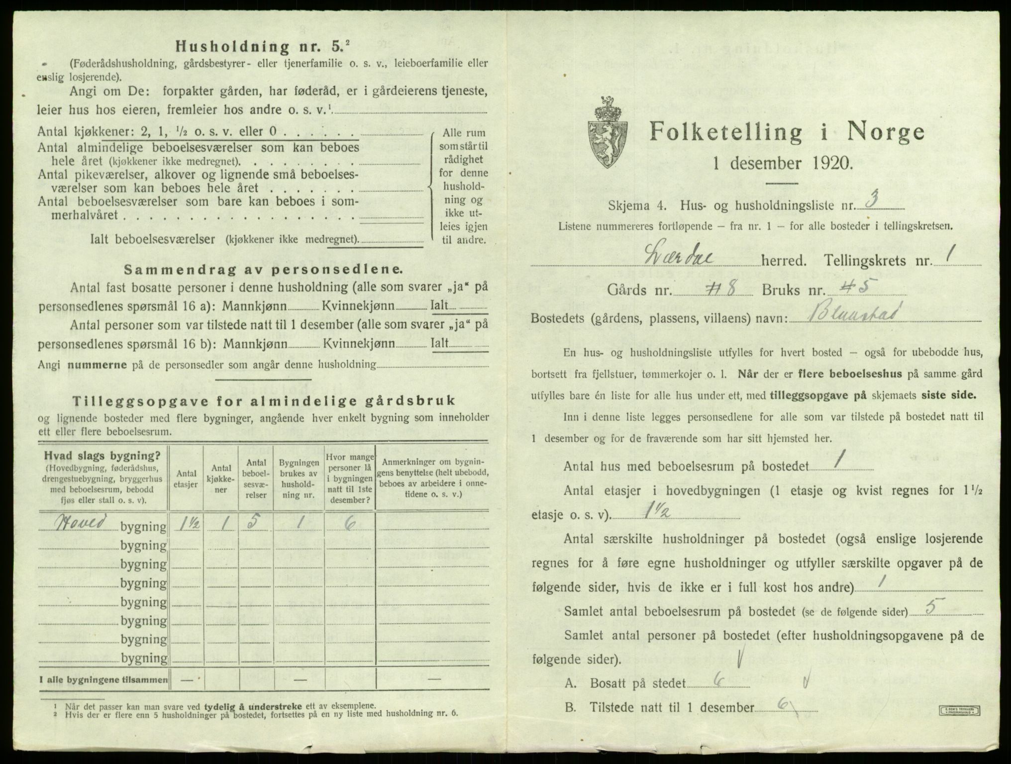 SAB, 1920 census for Lærdal, 1920, p. 41