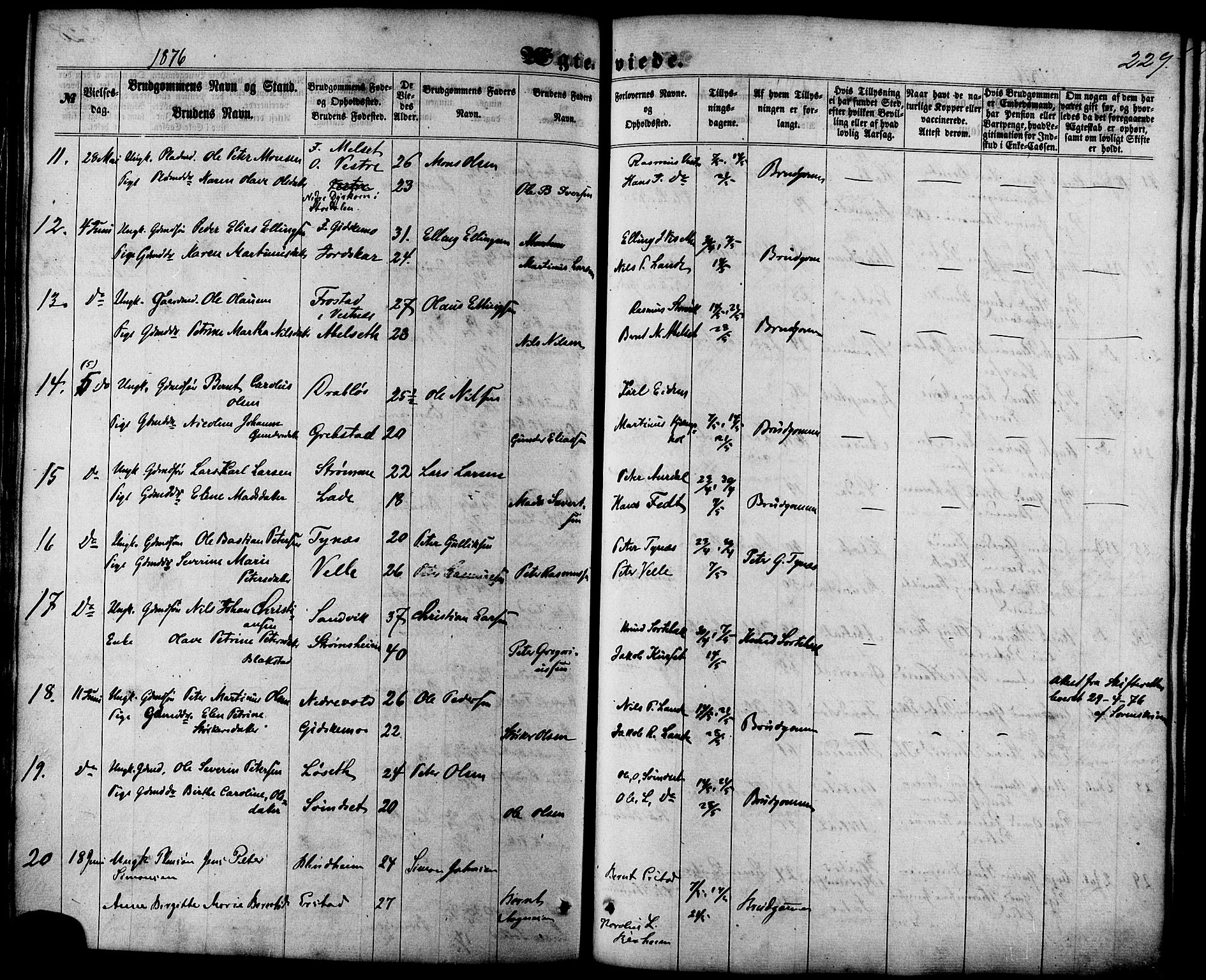 Ministerialprotokoller, klokkerbøker og fødselsregistre - Møre og Romsdal, AV/SAT-A-1454/522/L0314: Parish register (official) no. 522A09, 1863-1877, p. 229