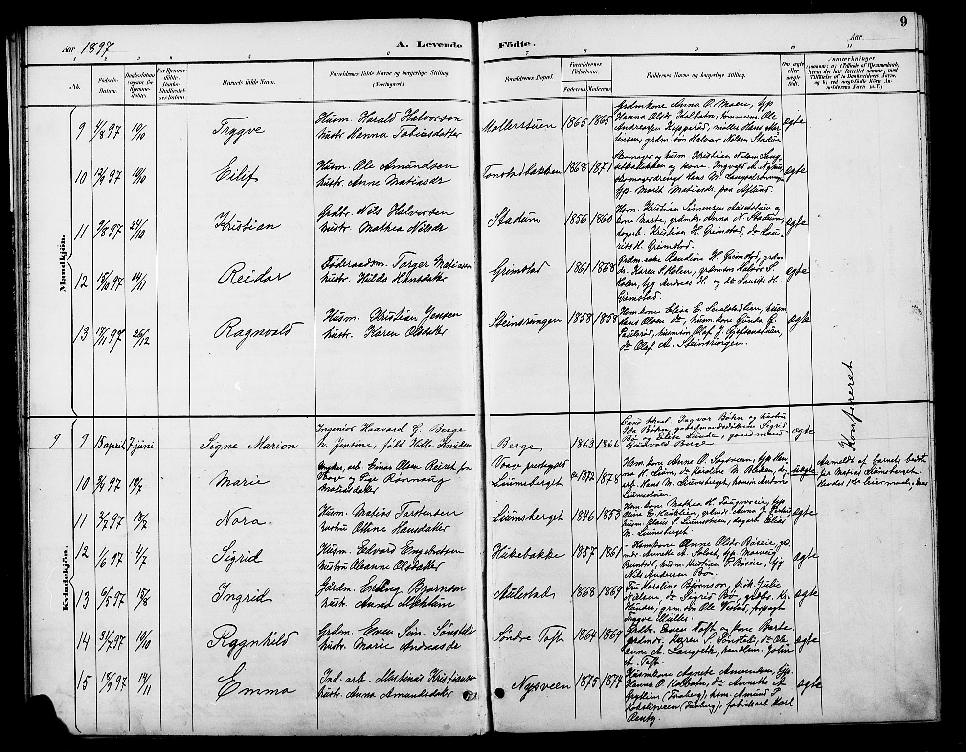 Østre Gausdal prestekontor, AV/SAH-PREST-092/H/Ha/Hab/L0003: Parish register (copy) no. 3, 1894-1915, p. 9