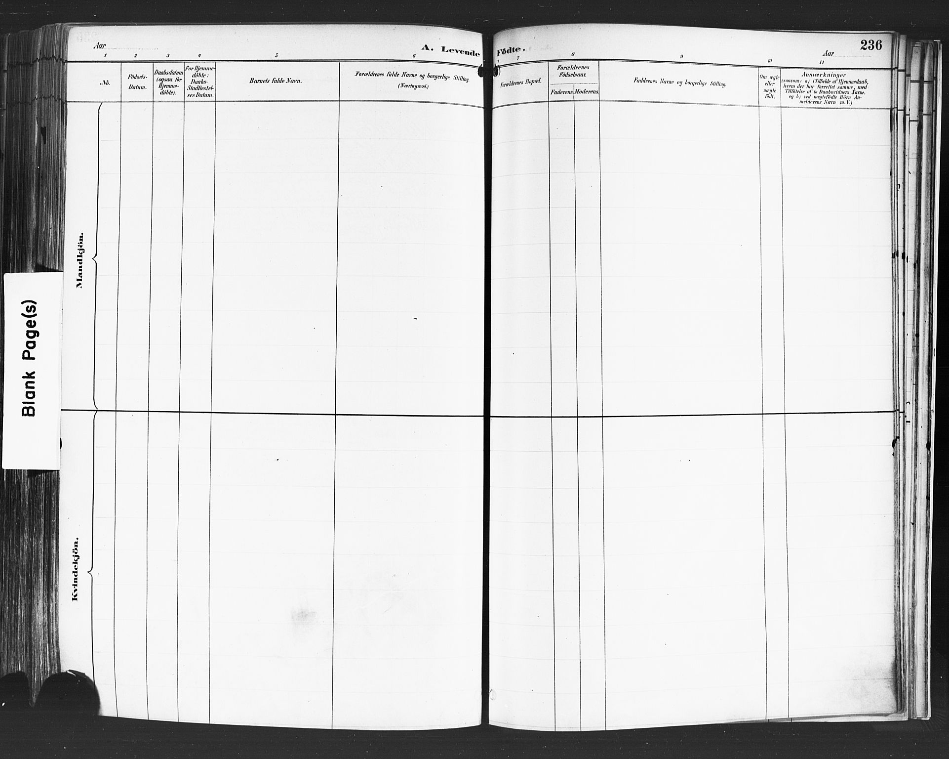 Petrus prestekontor Kirkebøker, AV/SAO-A-10872/F/Fa/L0004: Parish register (official) no. I 4, 1888-1898, p. 236