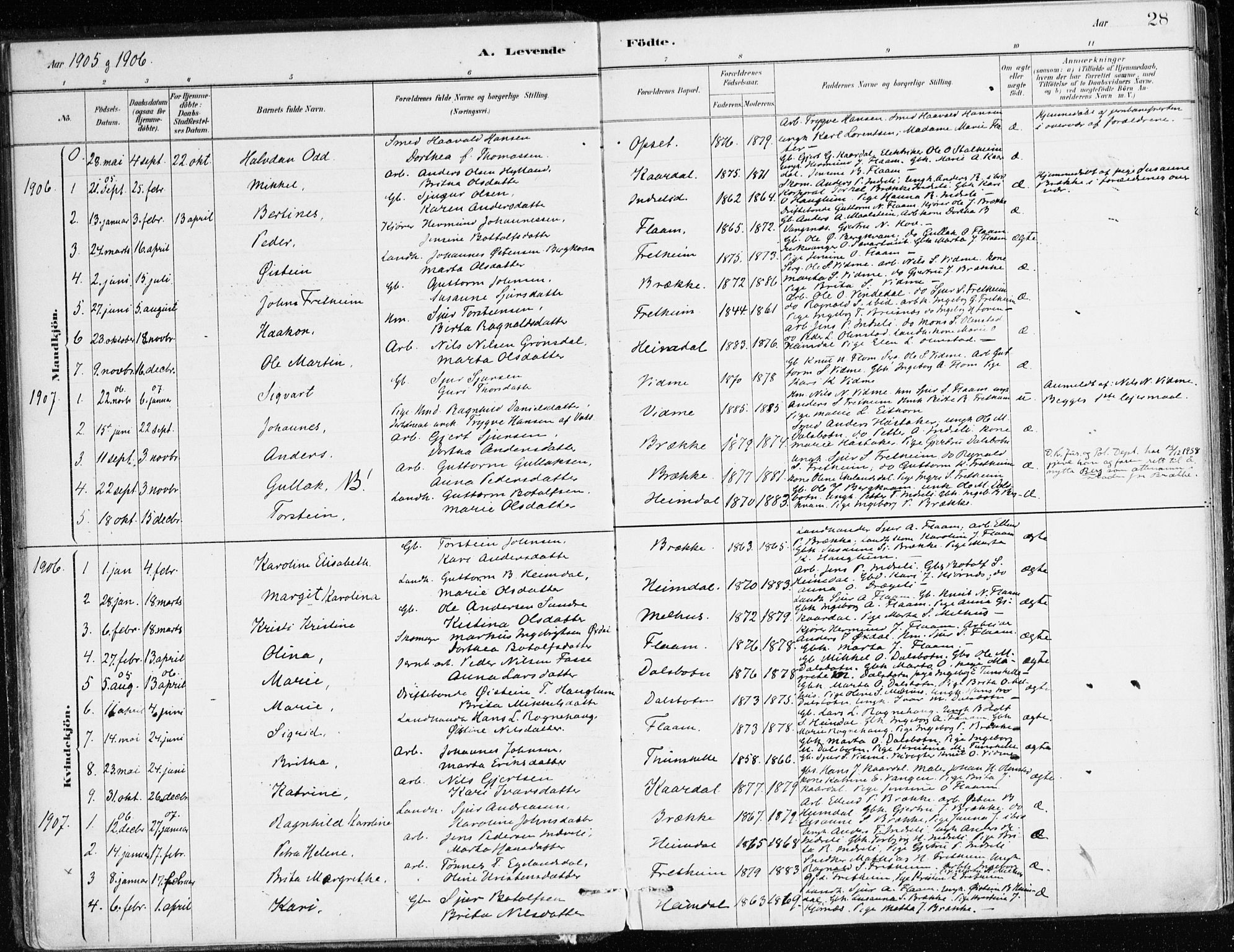 Aurland sokneprestembete, SAB/A-99937/H/Ha/Hac/L0001: Parish register (official) no. C 1, 1880-1921, p. 28