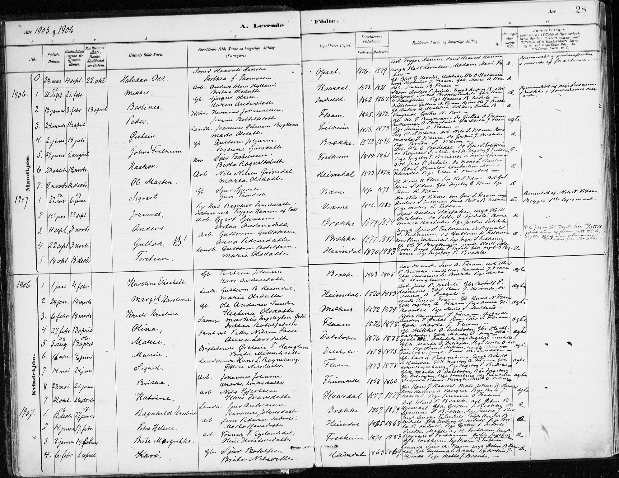 Aurland sokneprestembete, AV/SAB-A-99937/H/Ha/Hac/L0001: Parish register (official) no. C 1, 1880-1921, p. 28