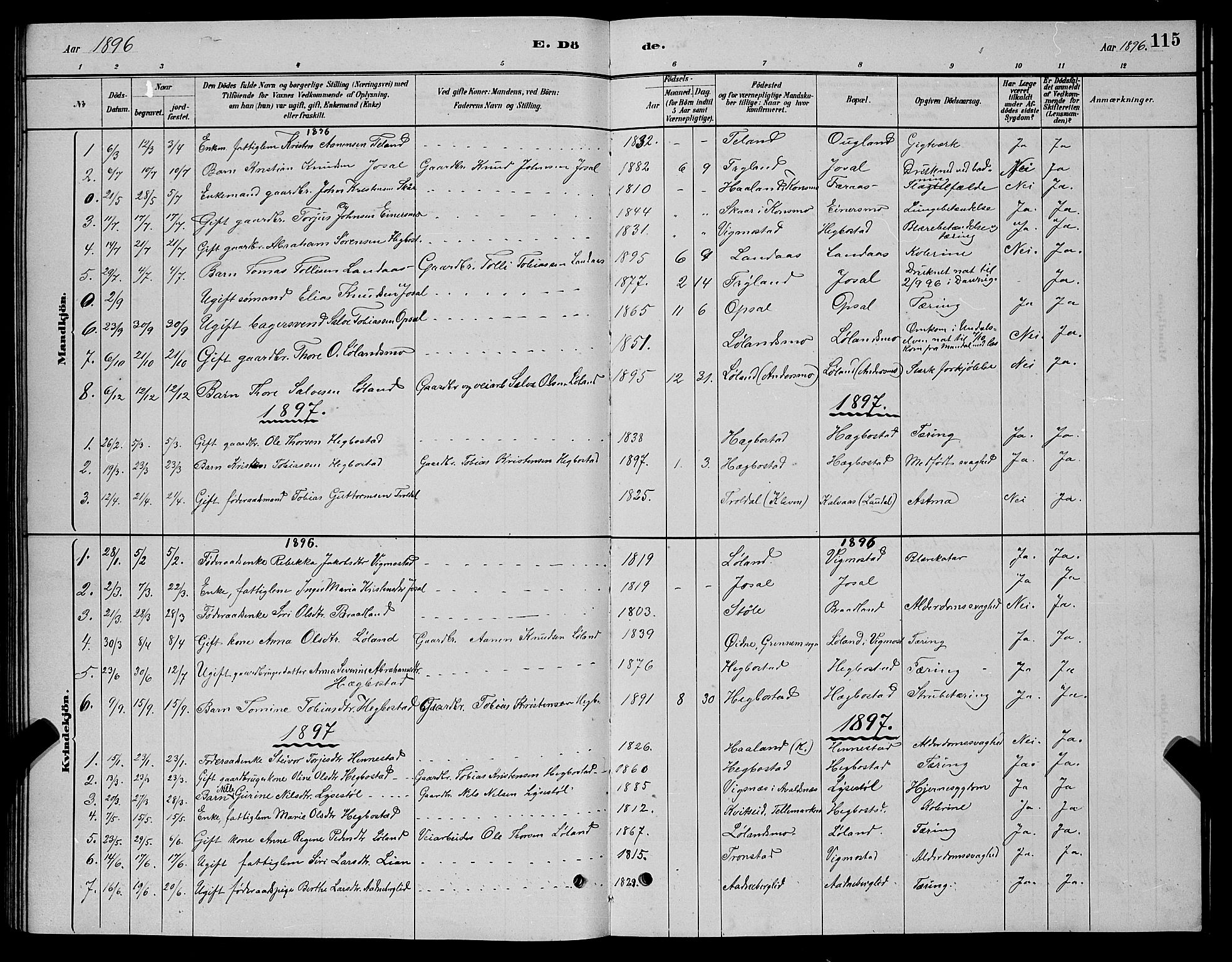 Nord-Audnedal sokneprestkontor, AV/SAK-1111-0032/F/Fb/Fbb/L0003: Parish register (copy) no. B 3, 1882-1900, p. 115