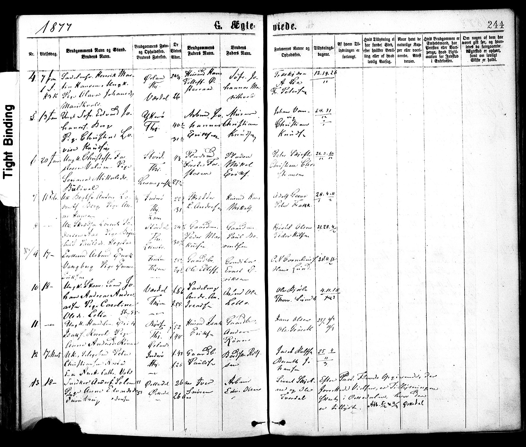 Ministerialprotokoller, klokkerbøker og fødselsregistre - Sør-Trøndelag, SAT/A-1456/602/L0118: Parish register (official) no. 602A16, 1873-1879, p. 244