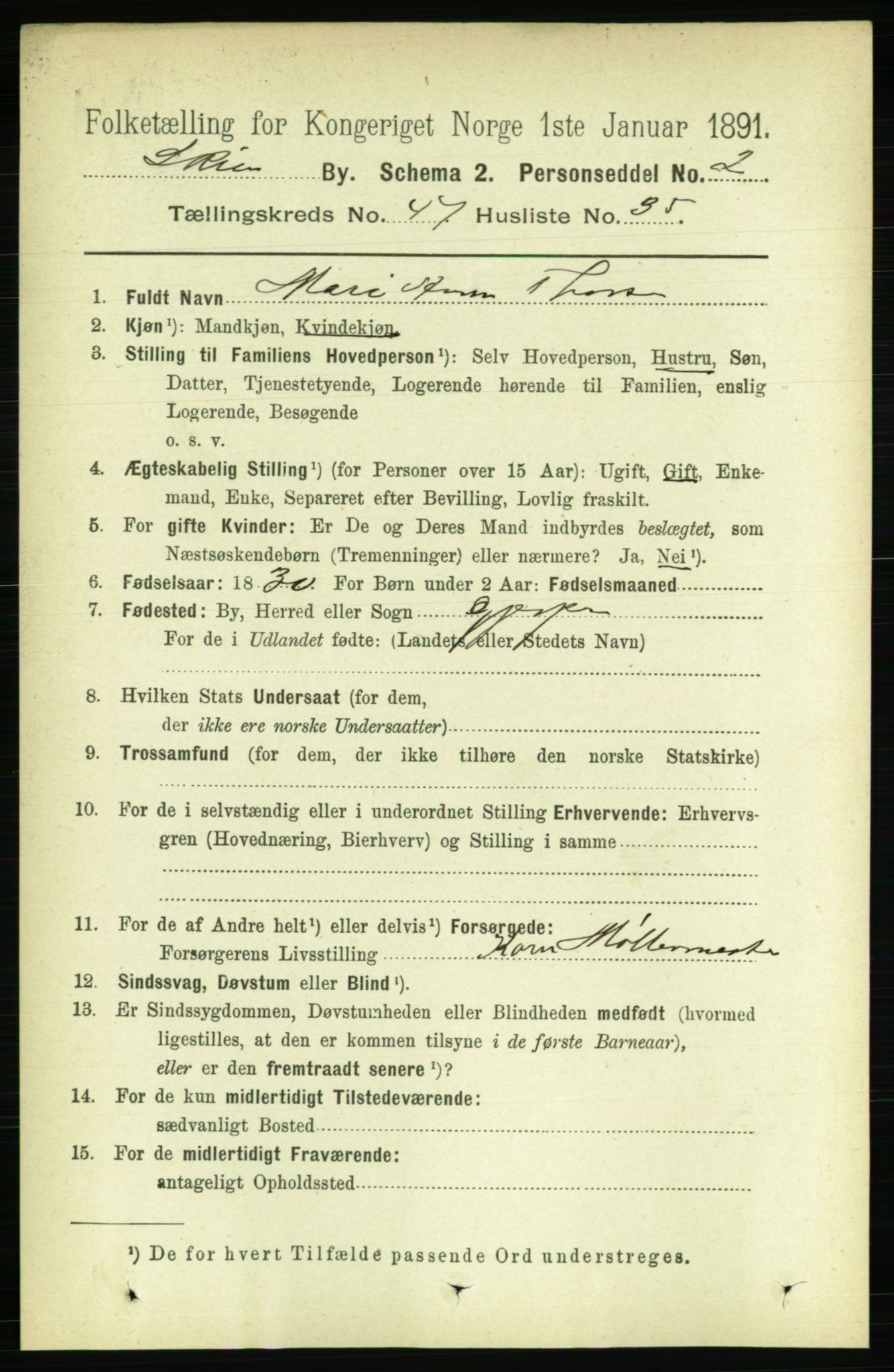 RA, 1891 census for 0806 Skien, 1891, p. 9512