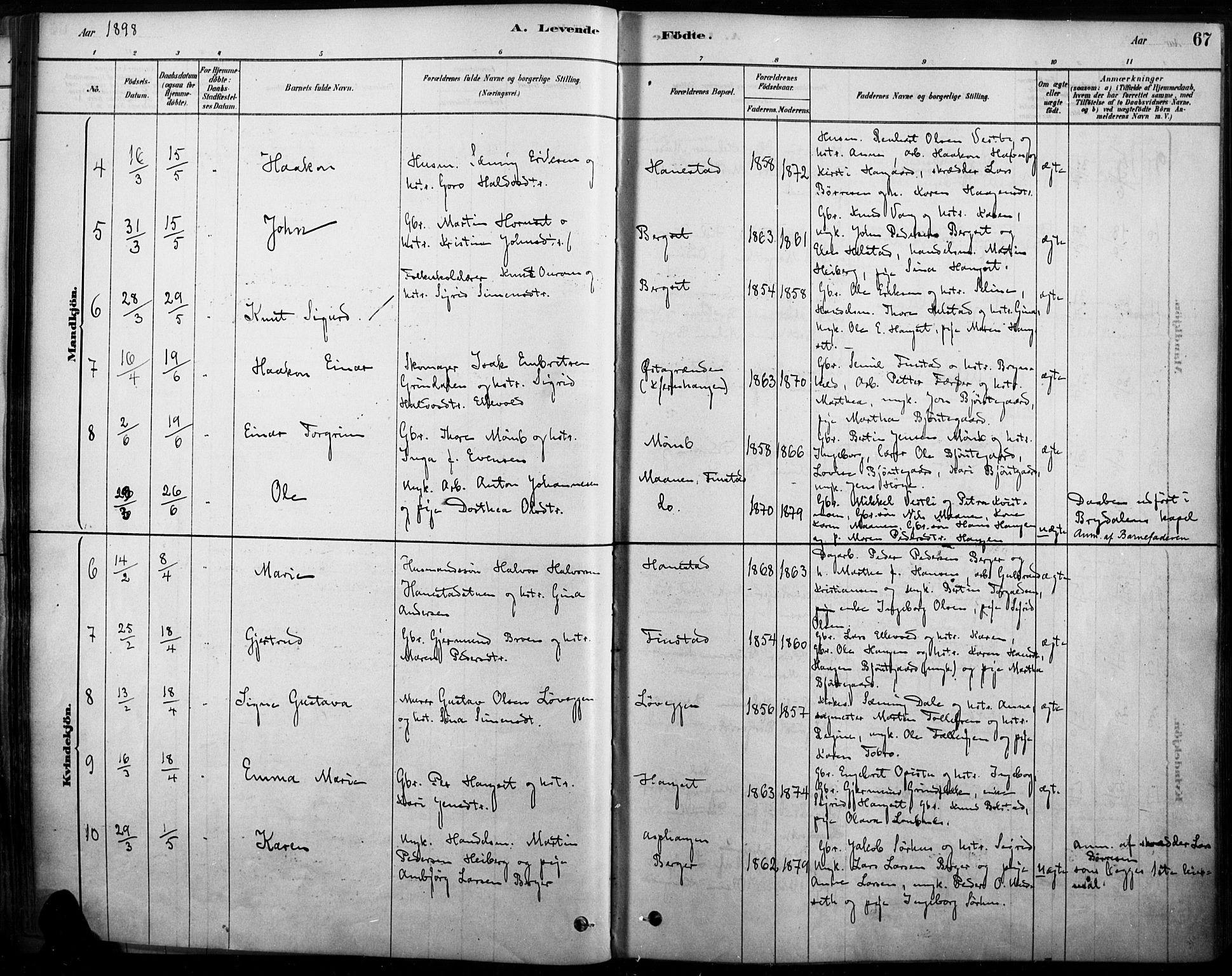 Rendalen prestekontor, AV/SAH-PREST-054/H/Ha/Haa/L0009: Parish register (official) no. 9, 1878-1901, p. 67