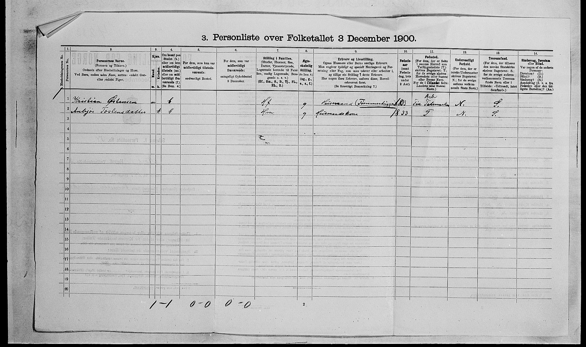 RA, 1900 census for Nore, 1900, p. 411