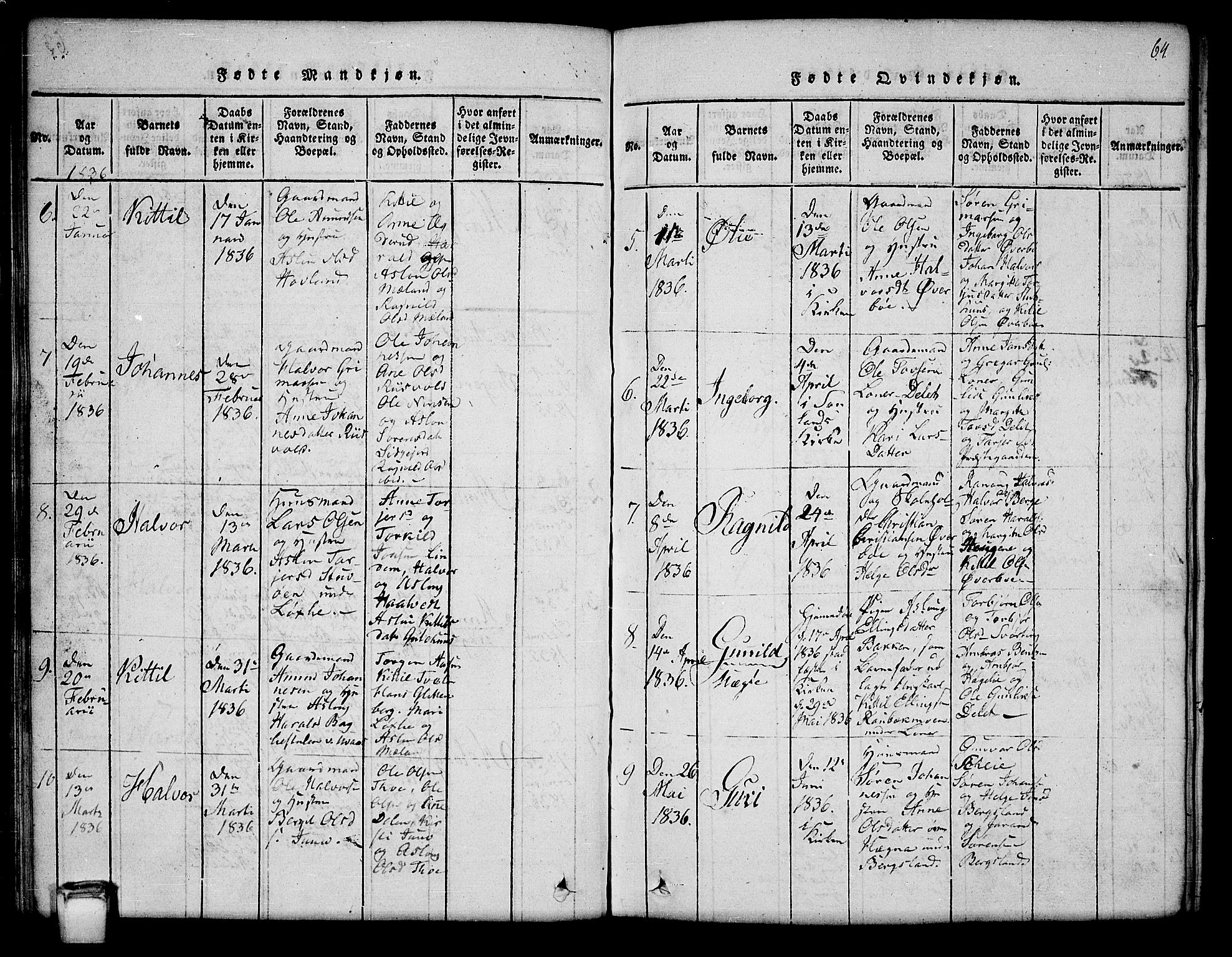 Hjartdal kirkebøker, SAKO/A-270/G/Ga/L0001: Parish register (copy) no. I 1, 1815-1842, p. 64