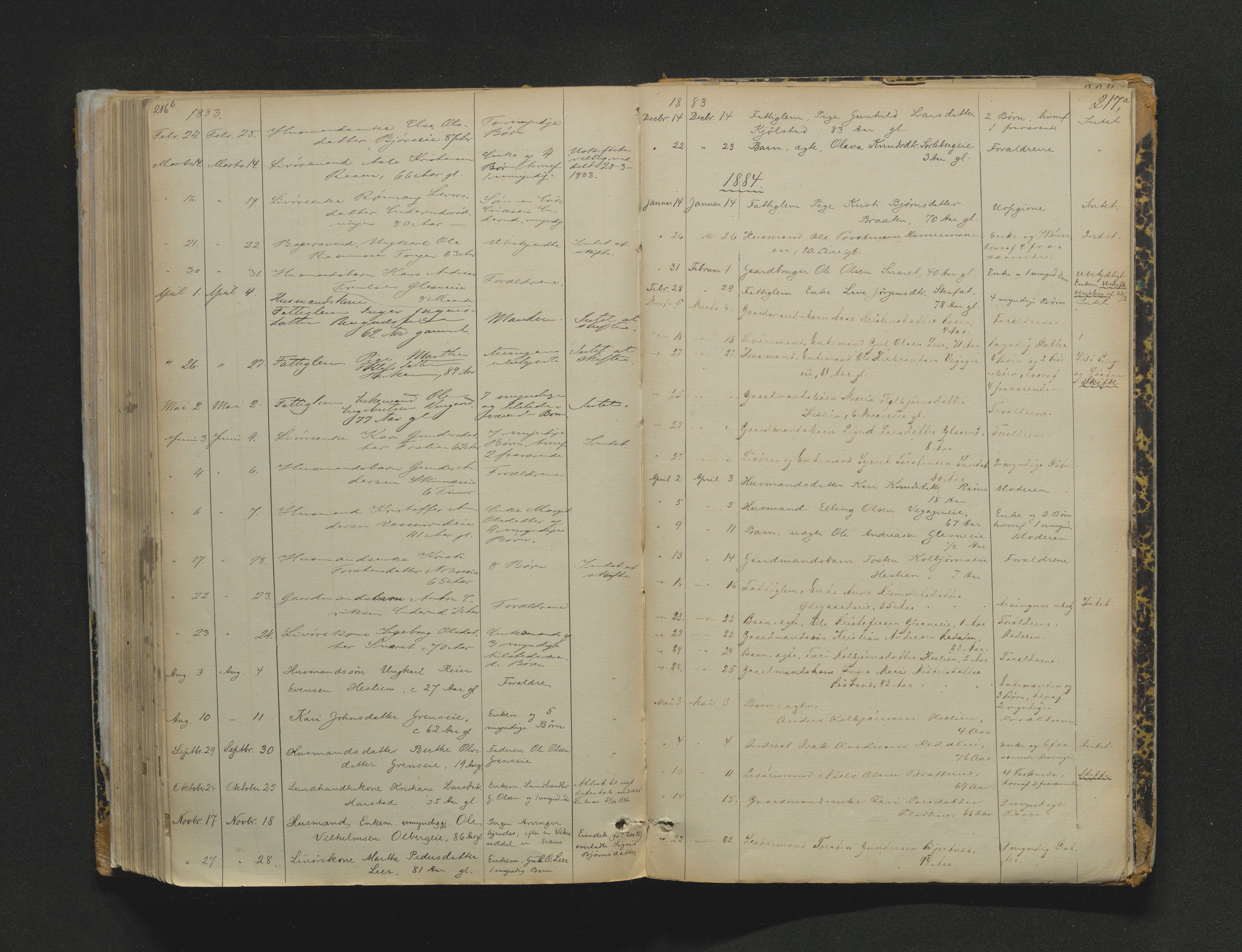 Eiker, Modum og Sigdal sorenskriveri, AV/SAKO-A-123/H/Ha/Haa/L0003: Dødsfallsprotokoll, 1870-1892, p. 217